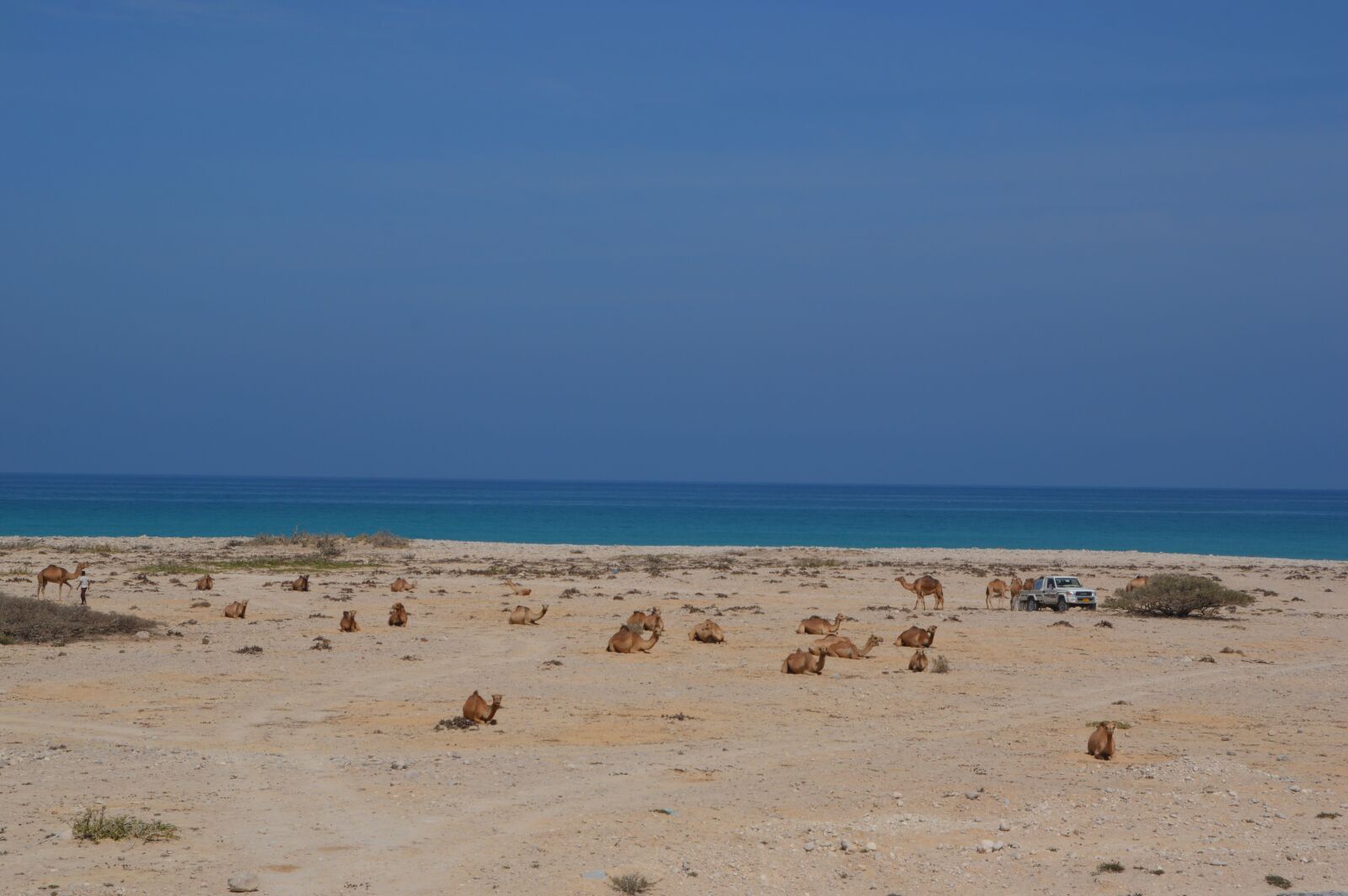 Nikon D3200 sample photo. Sky, oman, heat photography