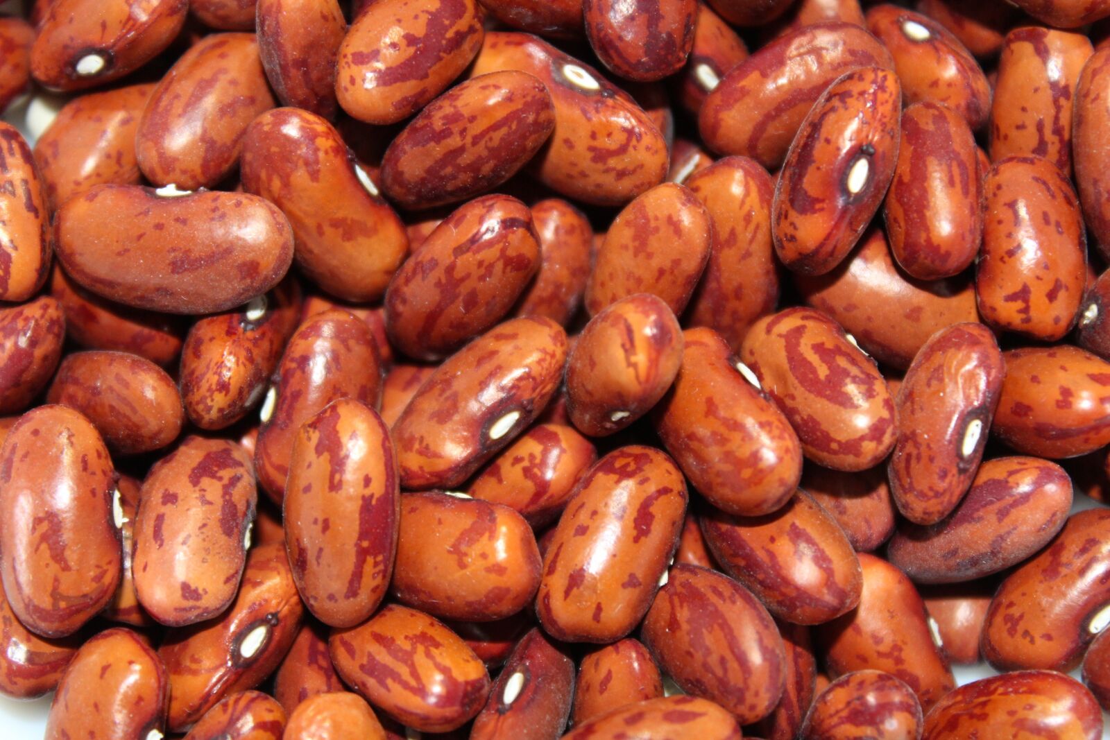 Canon EOS 1200D (EOS Rebel T5 / EOS Kiss X70 / EOS Hi) sample photo. Beans, red, nutrition photography