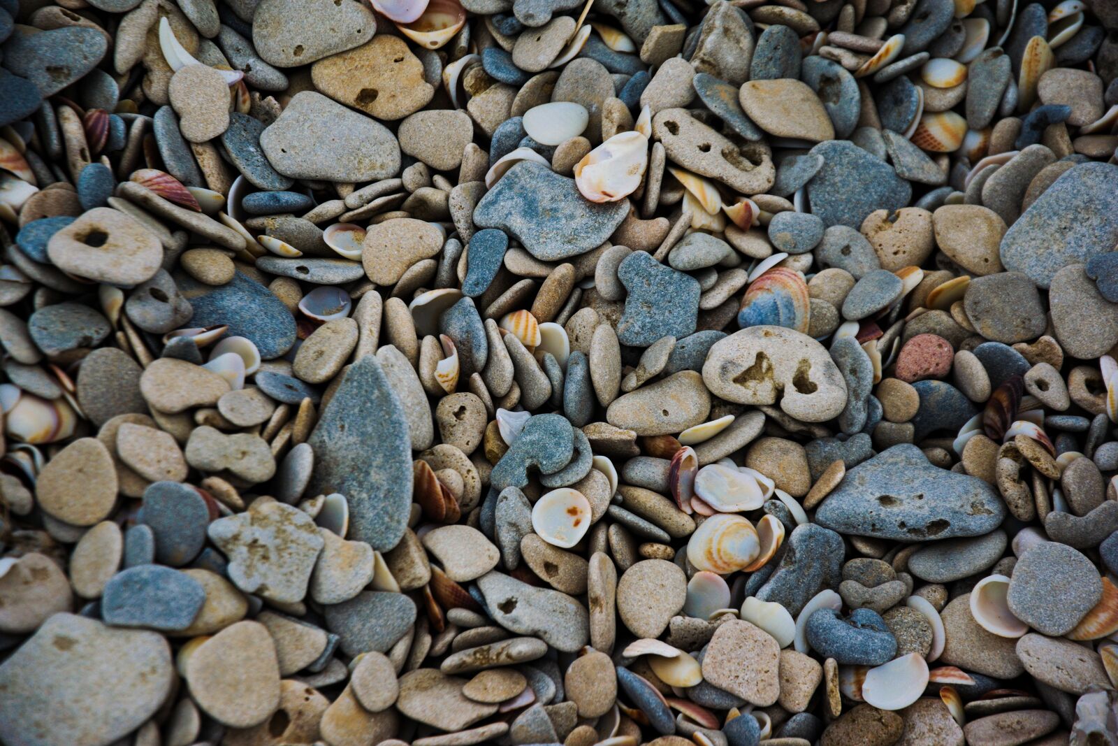 Nikon D3300 sample photo. Beach, seashore, stones photography
