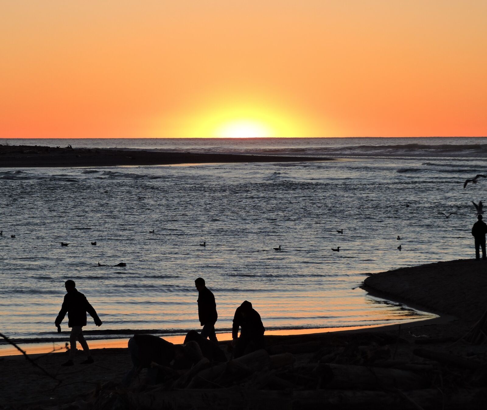 Nikon Coolpix P600 sample photo. Sunset, orange, coast photography