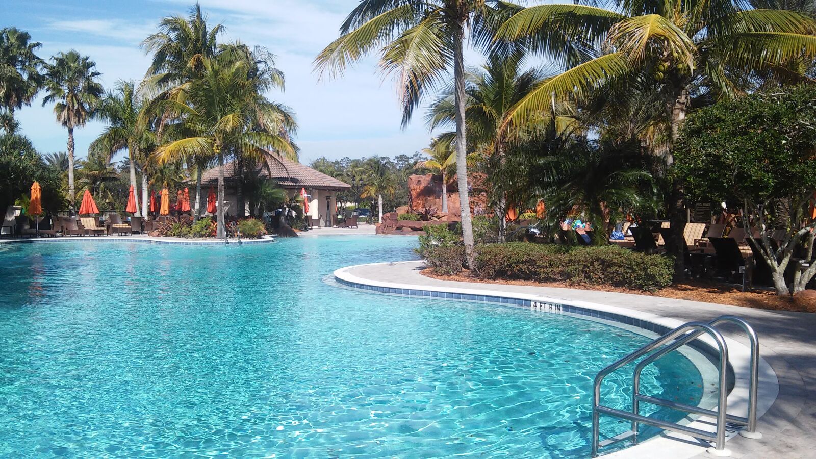 LG VOLT sample photo. Florida, palm, trees, pool photography