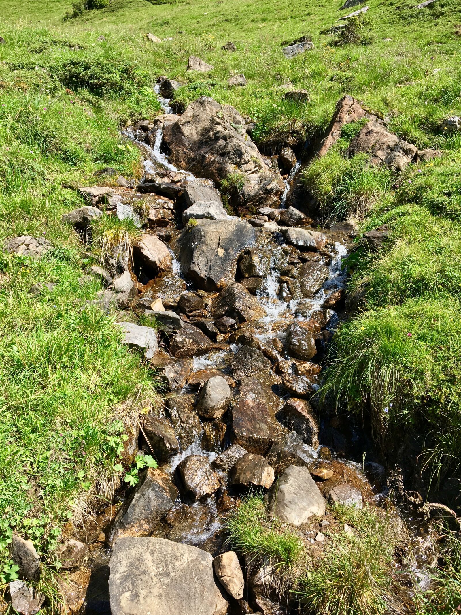 Apple iPhone 6s sample photo. Mountain stream, alpine, landscape photography