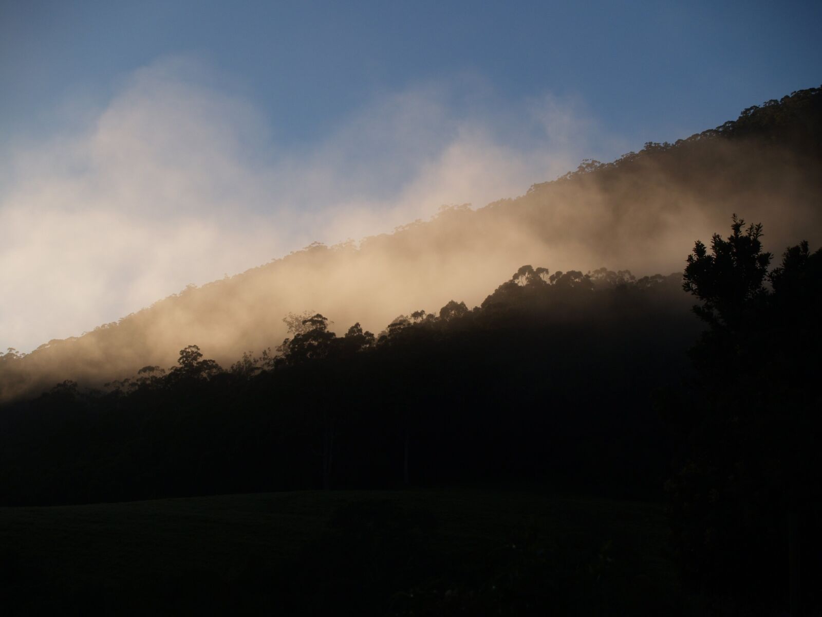 Olympus E-300 (EVOLT E-300) sample photo. Mountain, fog, morning photography