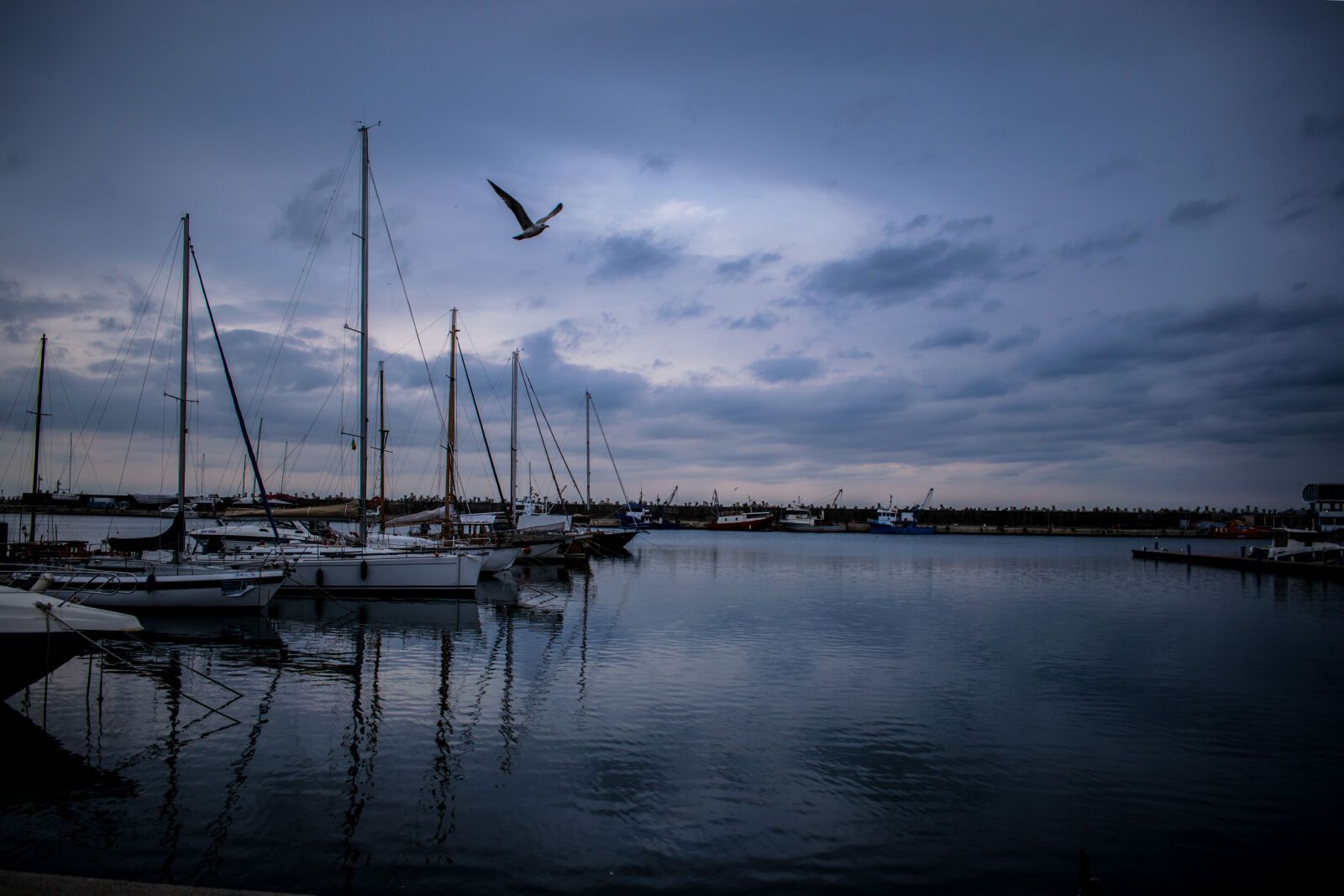 Nikon D3300 sample photo