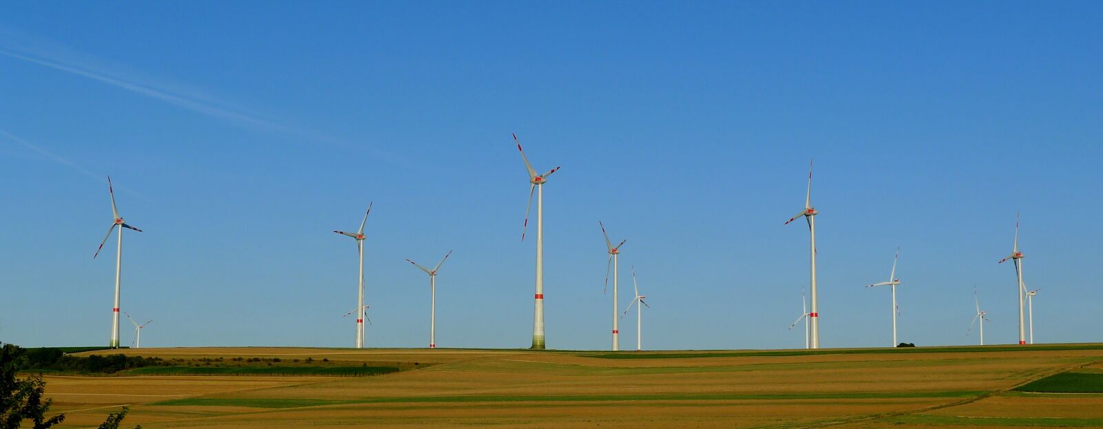 Panasonic Lumix DMC-LX5 sample photo. Wind turbine field, windmill photography