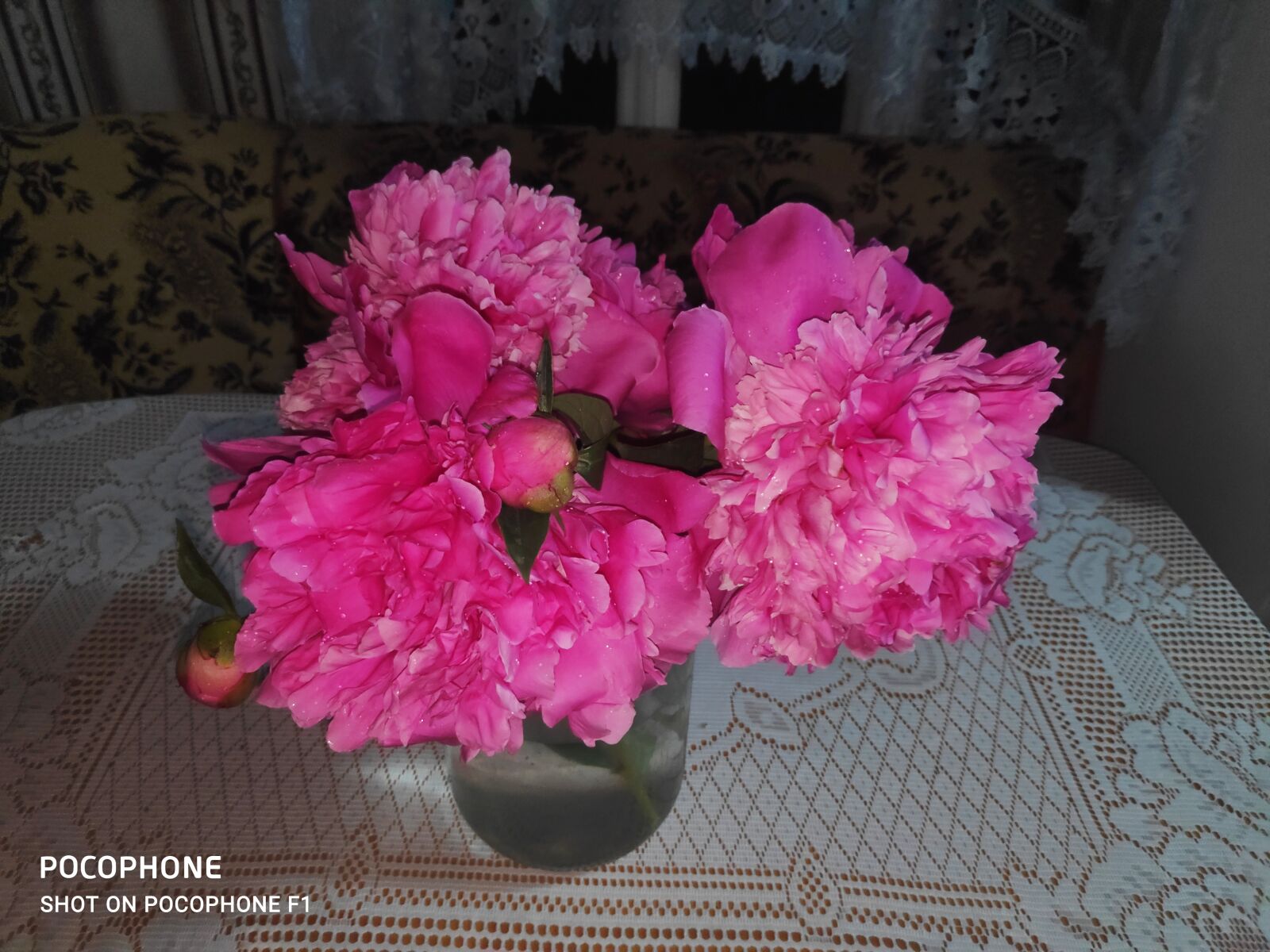 Xiaomi POCO F1 sample photo. александр, пикс, баи photography