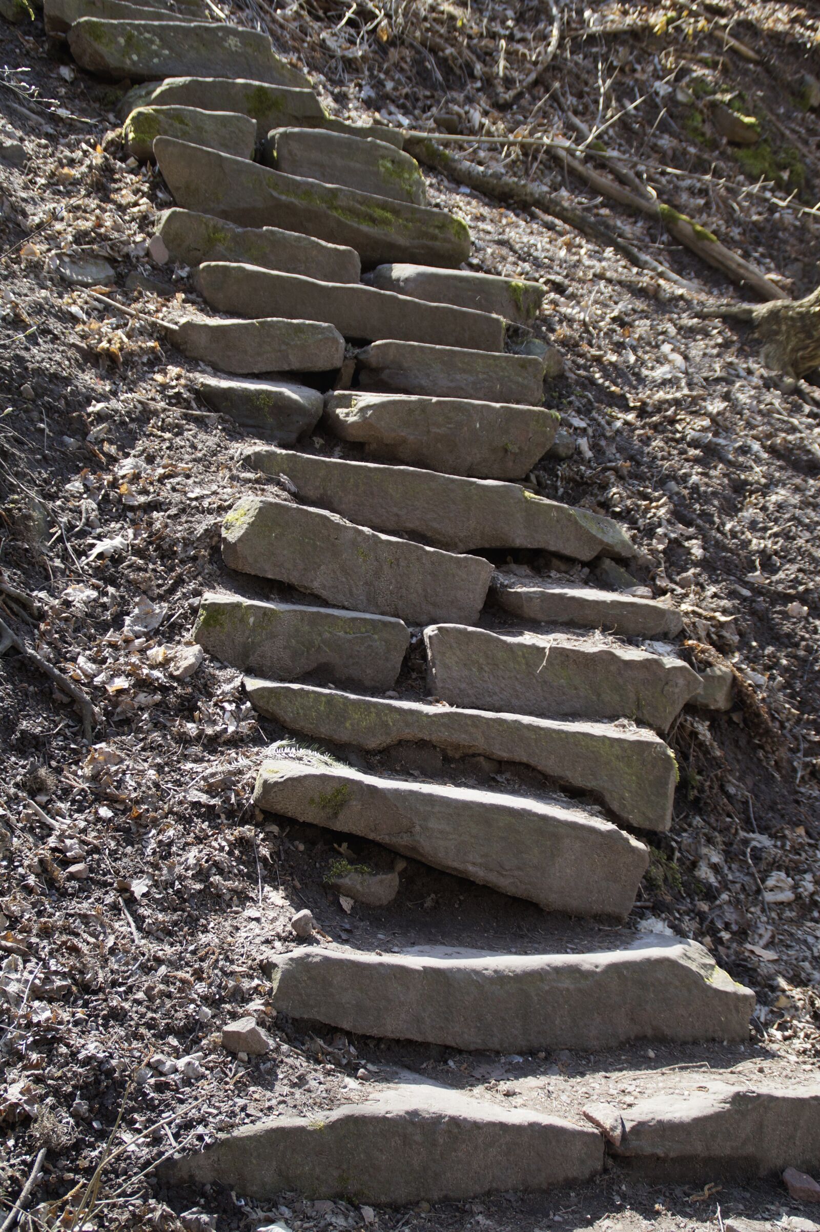 Sony SLT-A58 sample photo. Stone, nature, sand stone photography