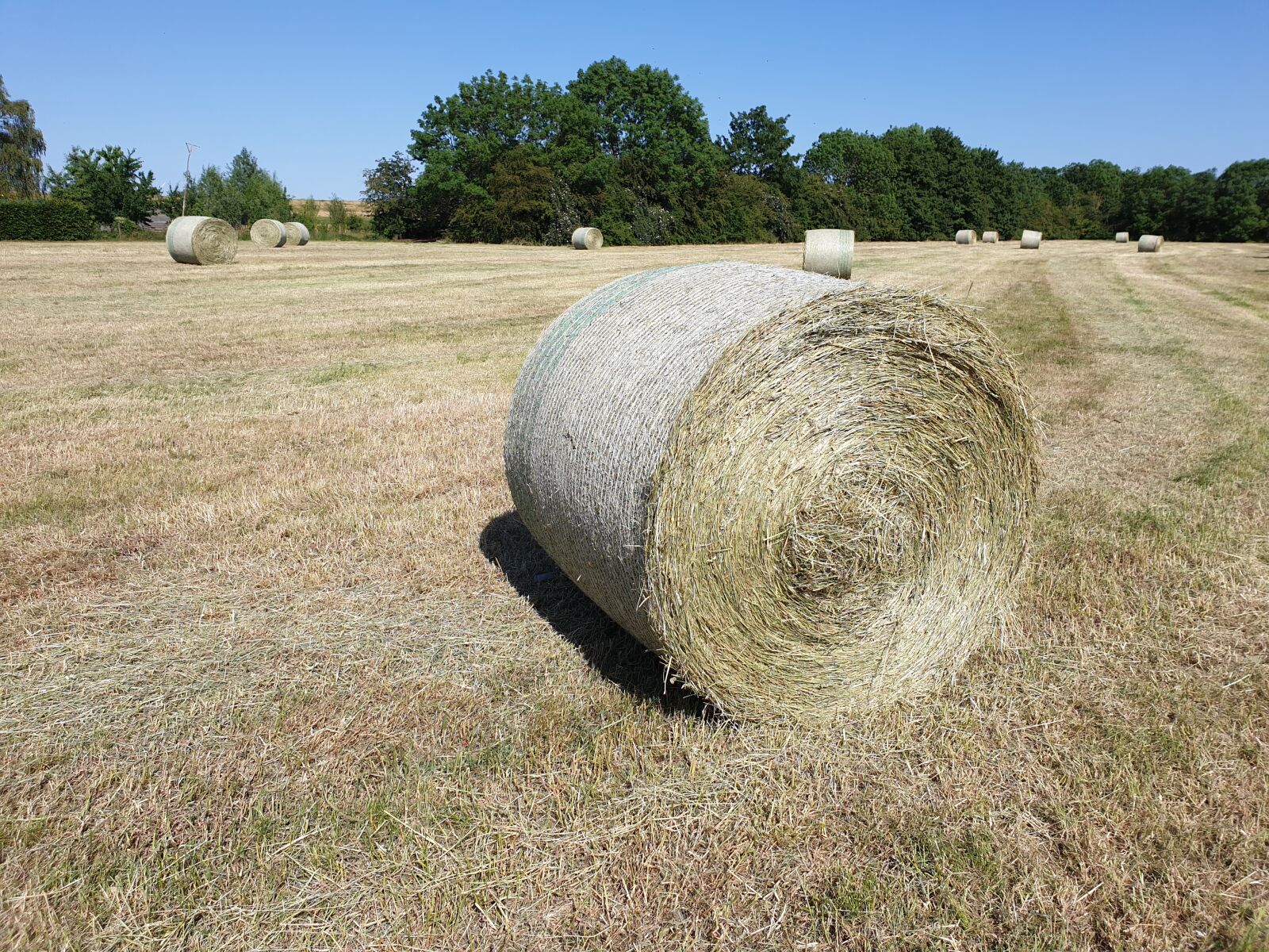 Samsung Galaxy S9 sample photo. Village, hay, meadow photography