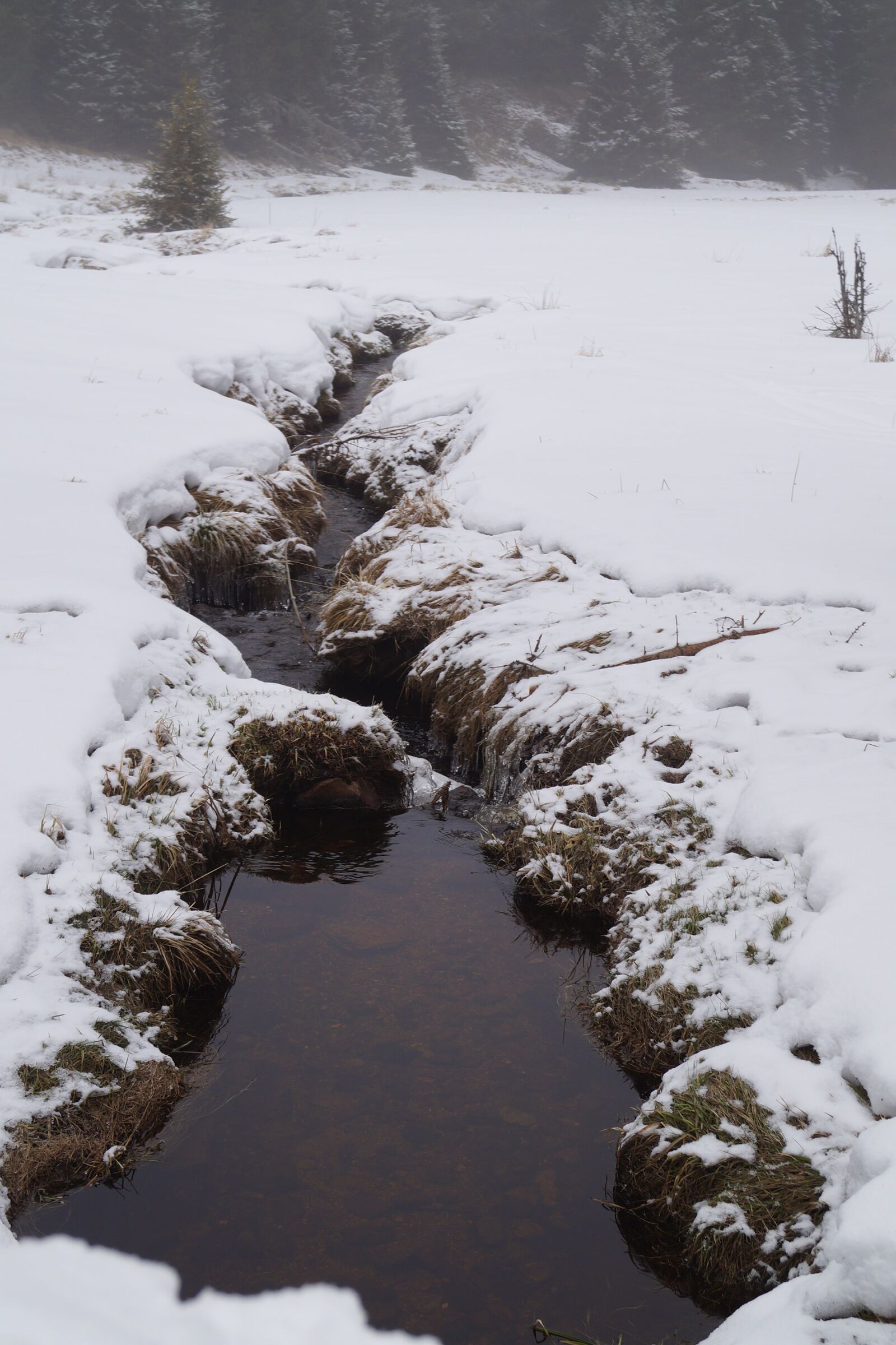 Sony DT 18-55mm F3.5-5.6 SAM II sample photo. Winter, snow, stream photography