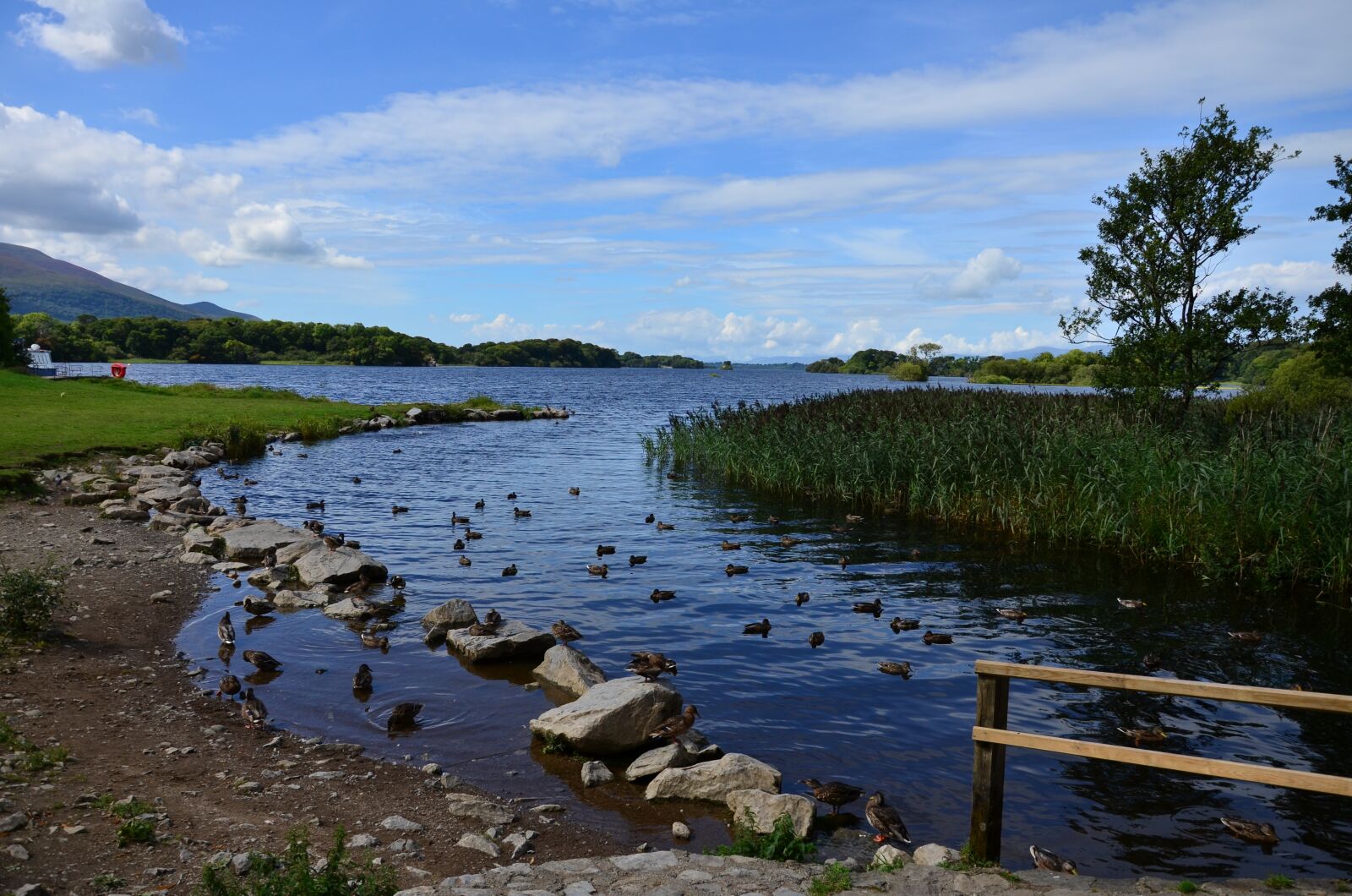 Nikon D7000 sample photo. Water, river, nature photography