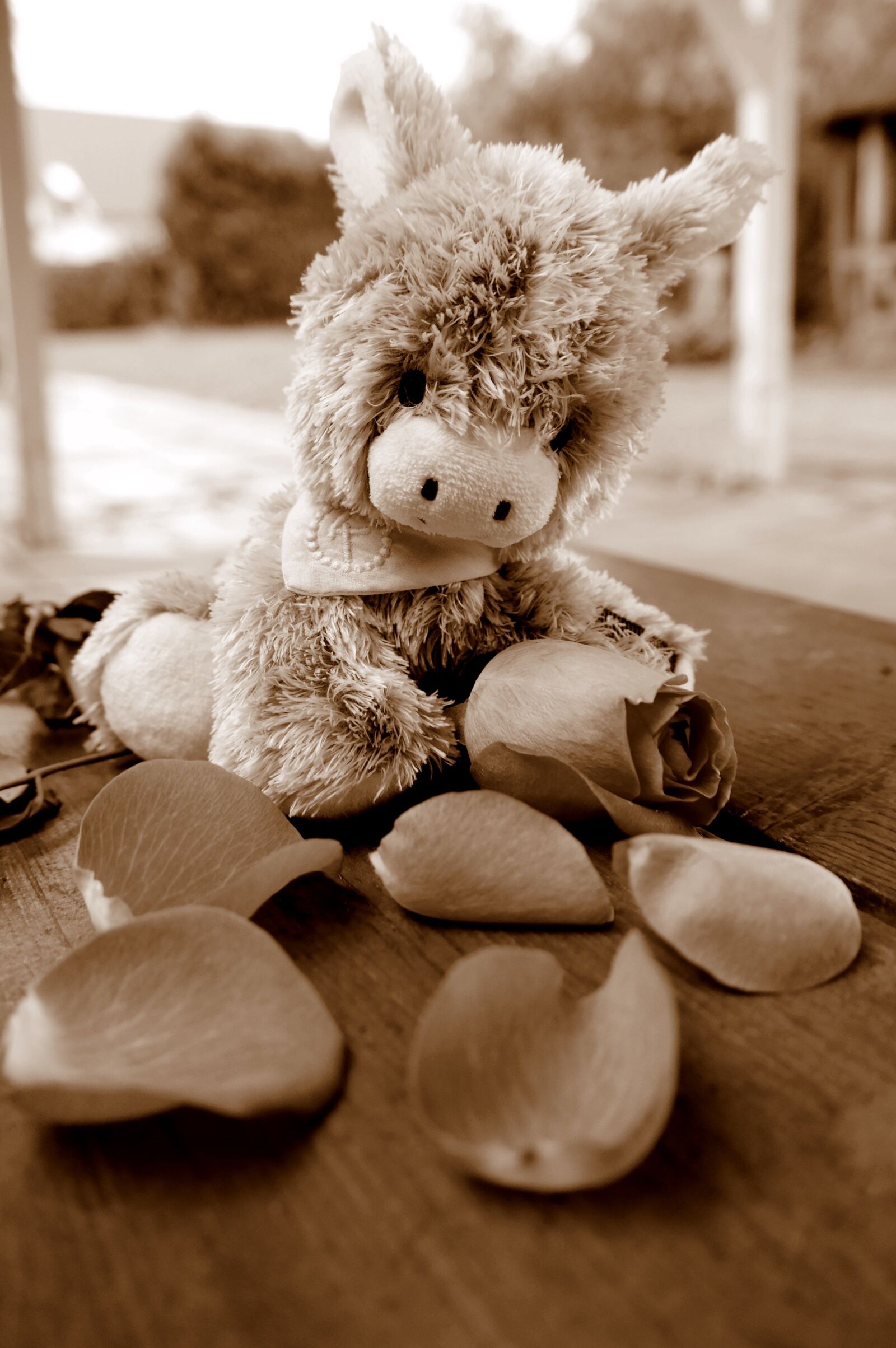 Samsung NX300M sample photo. Donkey, teddy bear, soft photography