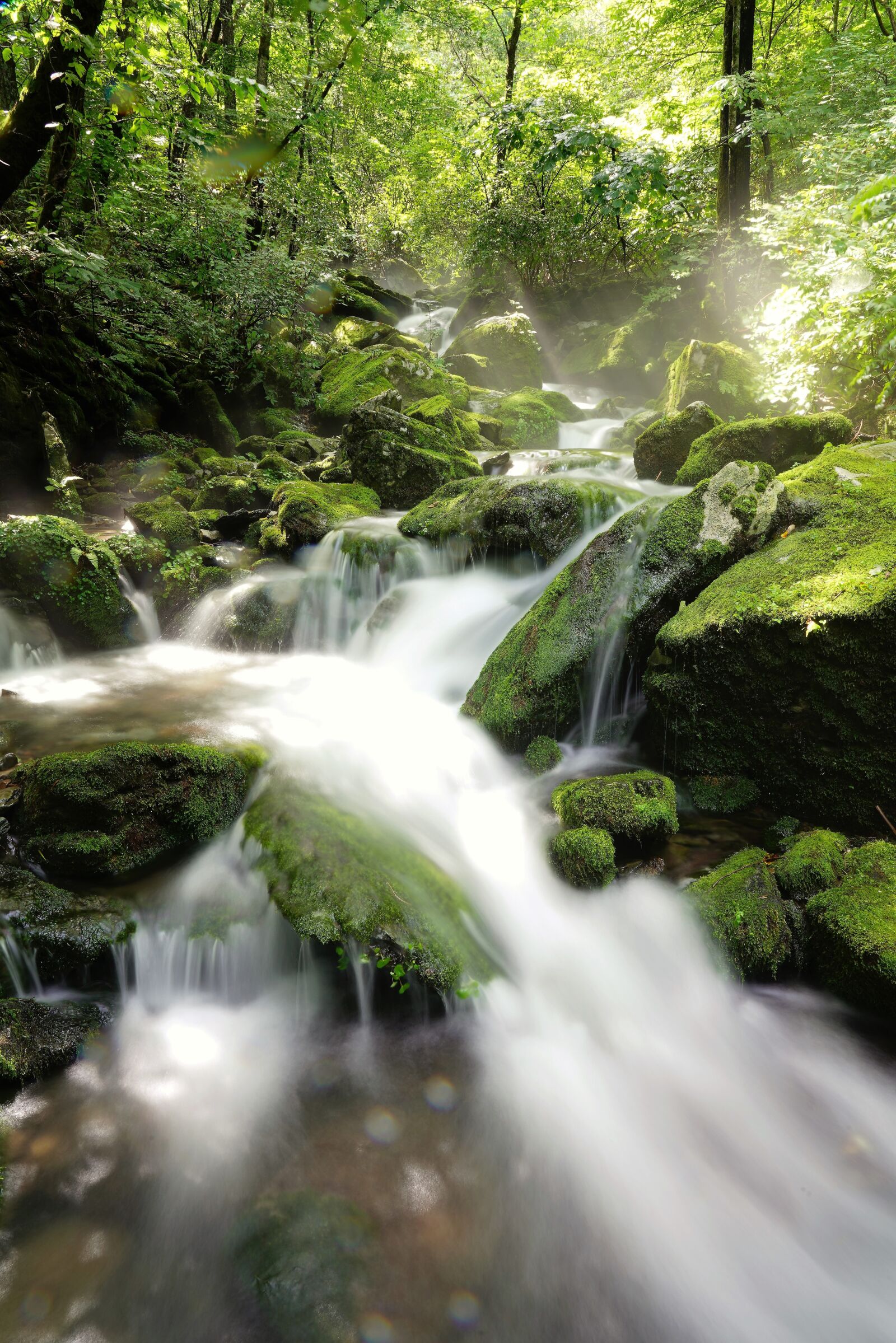 Sony FE 24-105mm F4 G OSS sample photo. Brook, water, clean photography