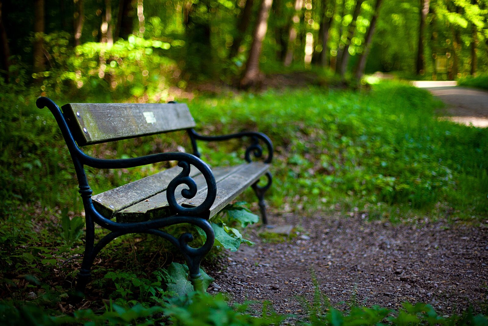Canon EF 50mm F1.4 USM sample photo. Bank, garden, nature photography