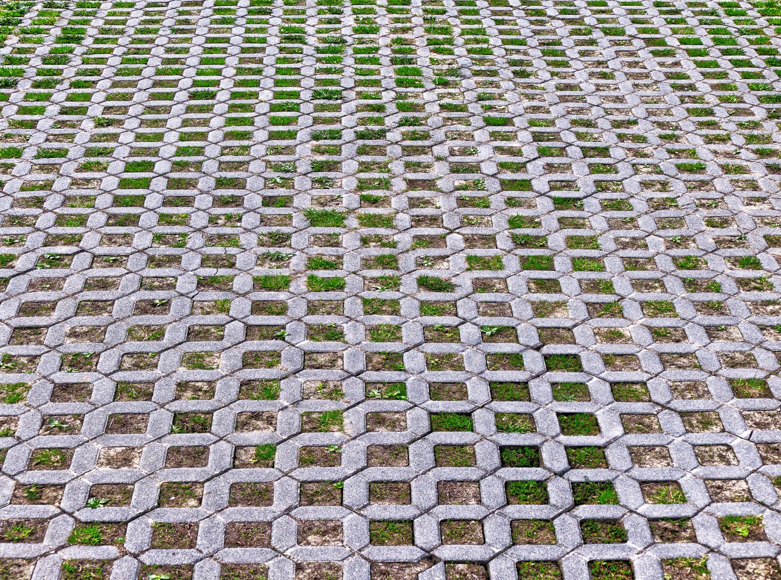 Panasonic Lumix DMC-FZ1000 sample photo. Lawn stones, lawn grid photography