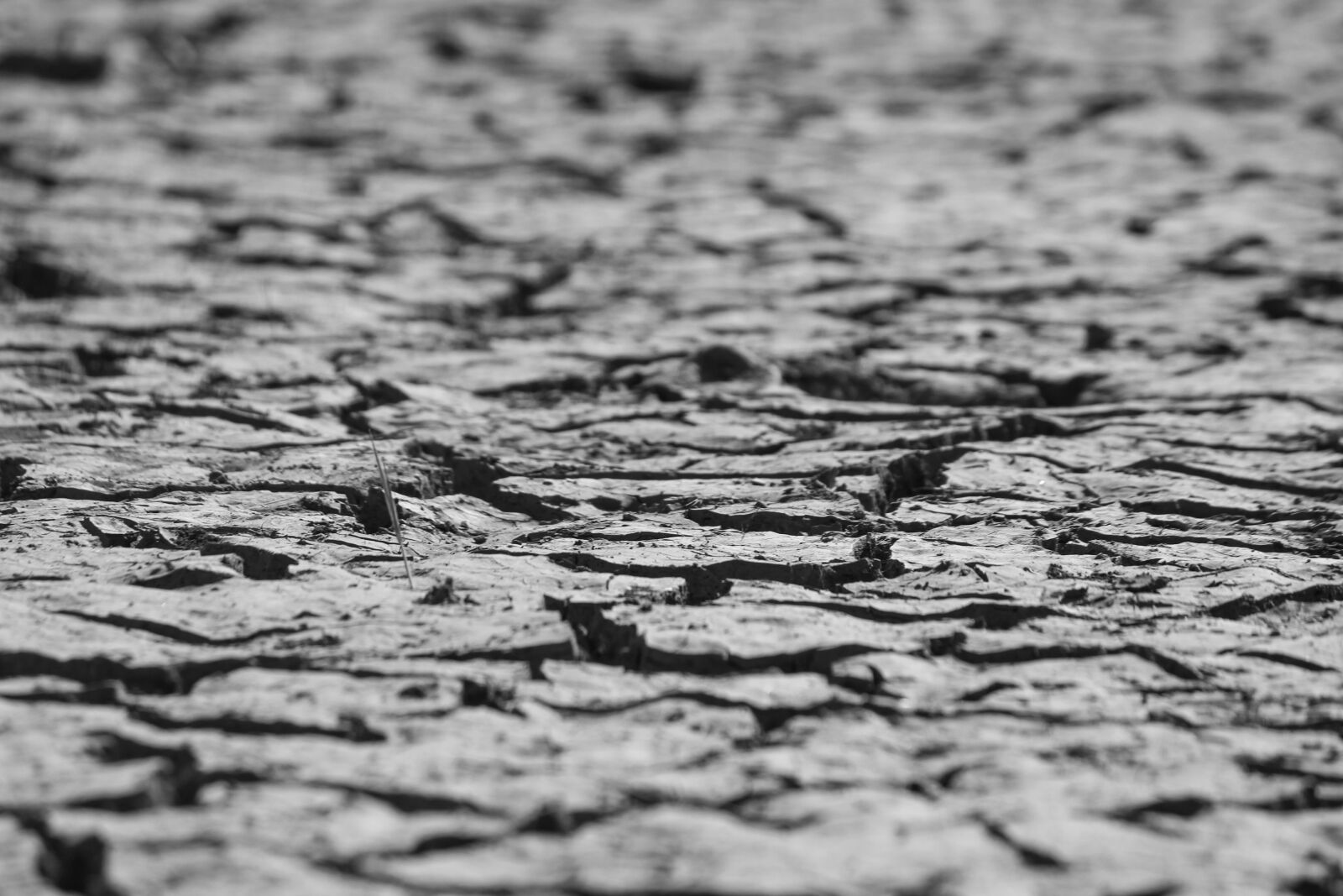 Canon EOS 700D (EOS Rebel T5i / EOS Kiss X7i) sample photo. Pattern, rough, desktop photography