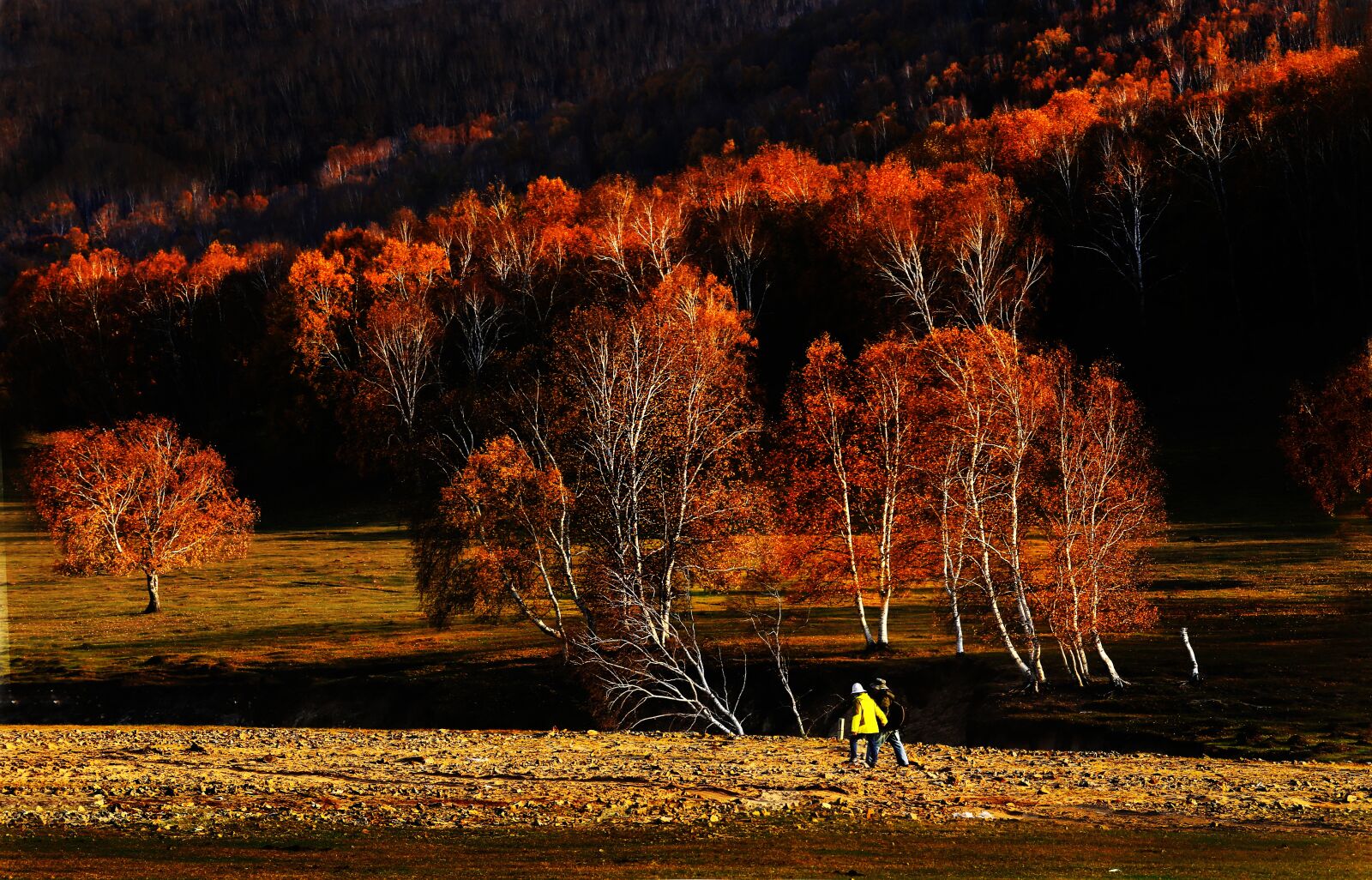 Canon EF 70-200mm F4L IS USM sample photo. Dam, prairie, tree photography