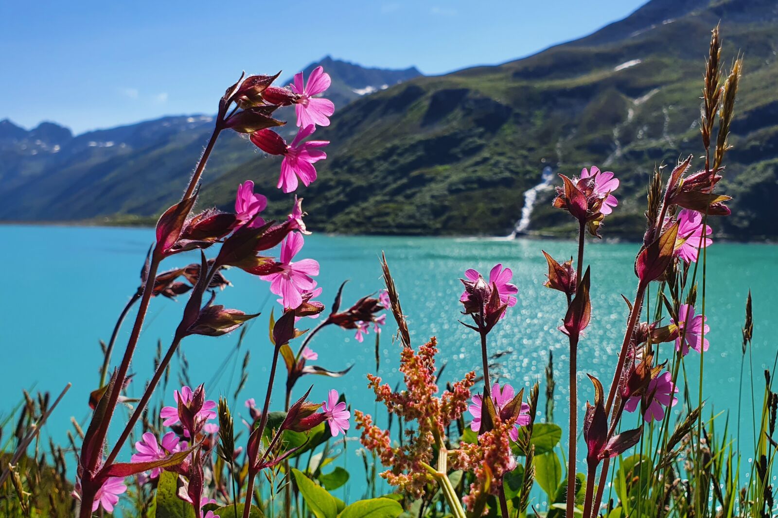Samsung Galaxy S10+ sample photo. Silvretta, vorarlberg, montafon photography