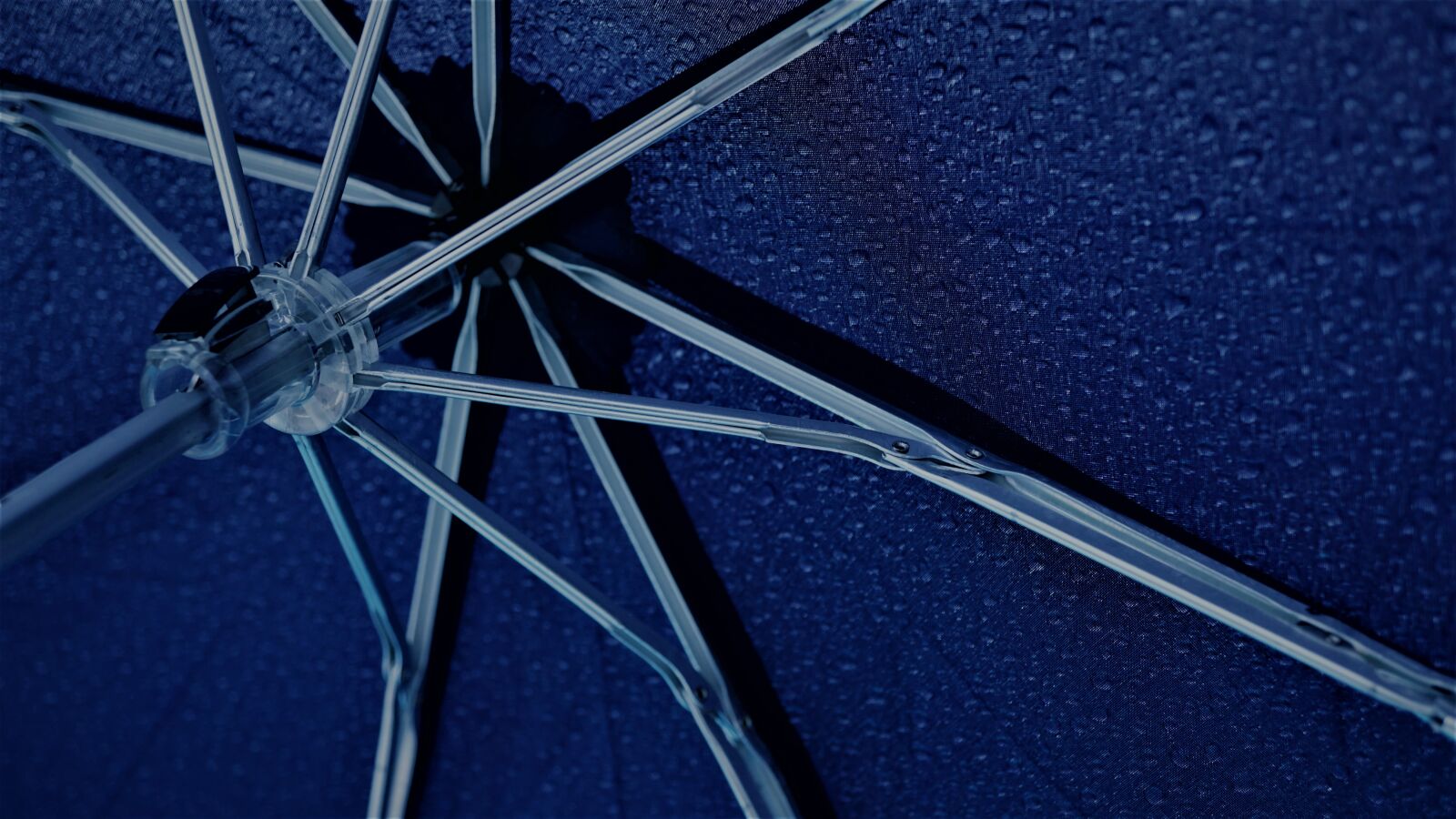 Sony E 30mm F3.5 Macro sample photo. Umbrella, rainy weather, rain photography