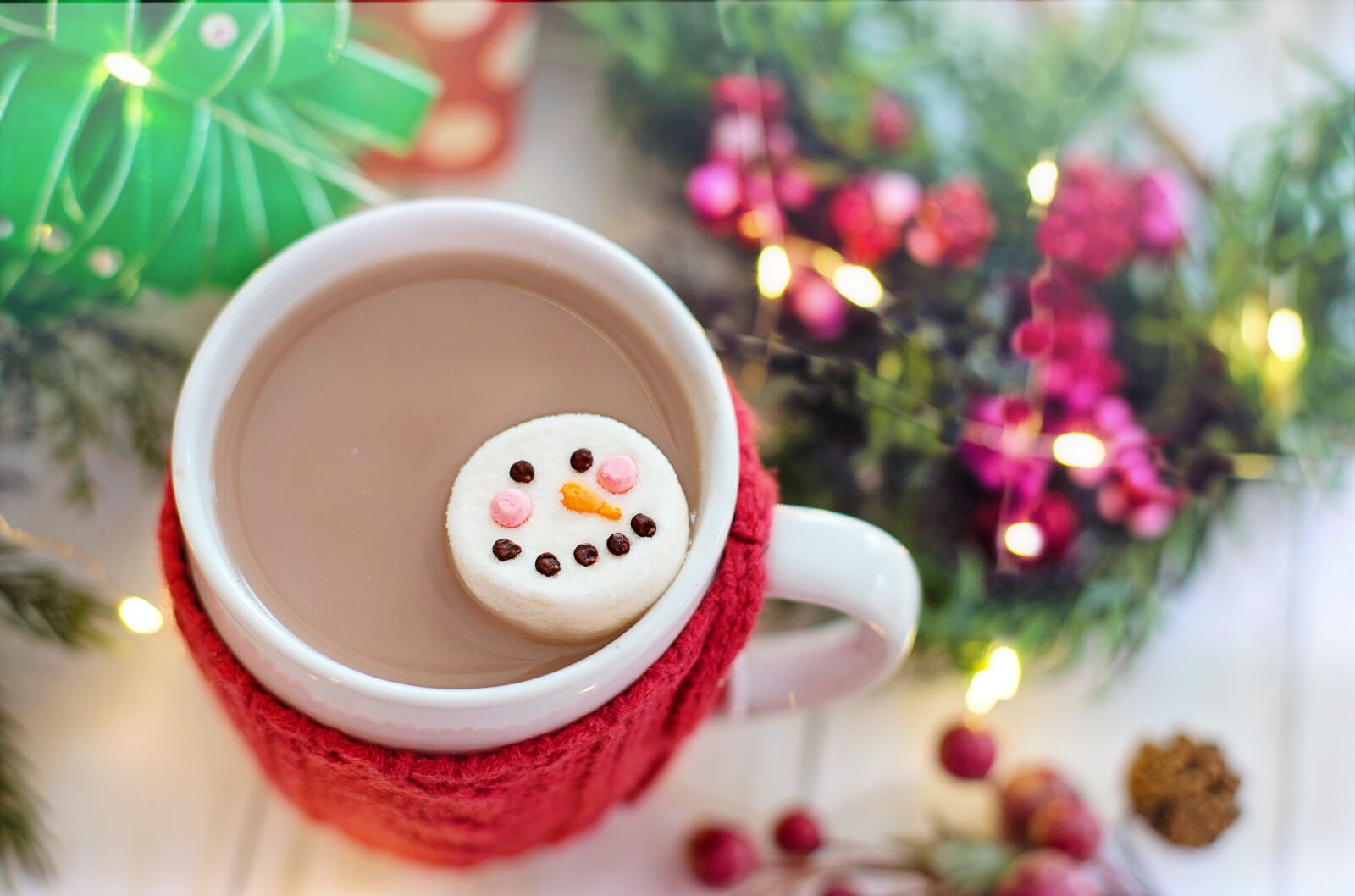 Canon EF 50mm F1.4 USM sample photo. Hot chocolate, cocoa, marshmallow photography