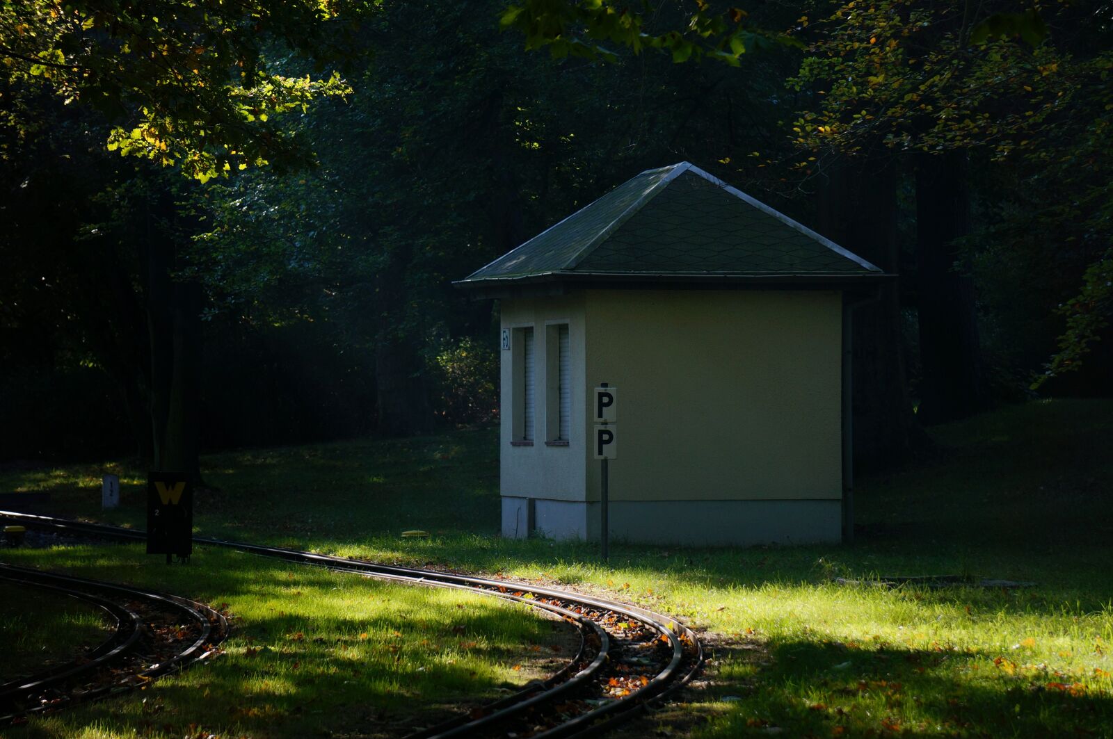 Sony Alpha NEX-6 sample photo. Park railway, track, sunbeam photography