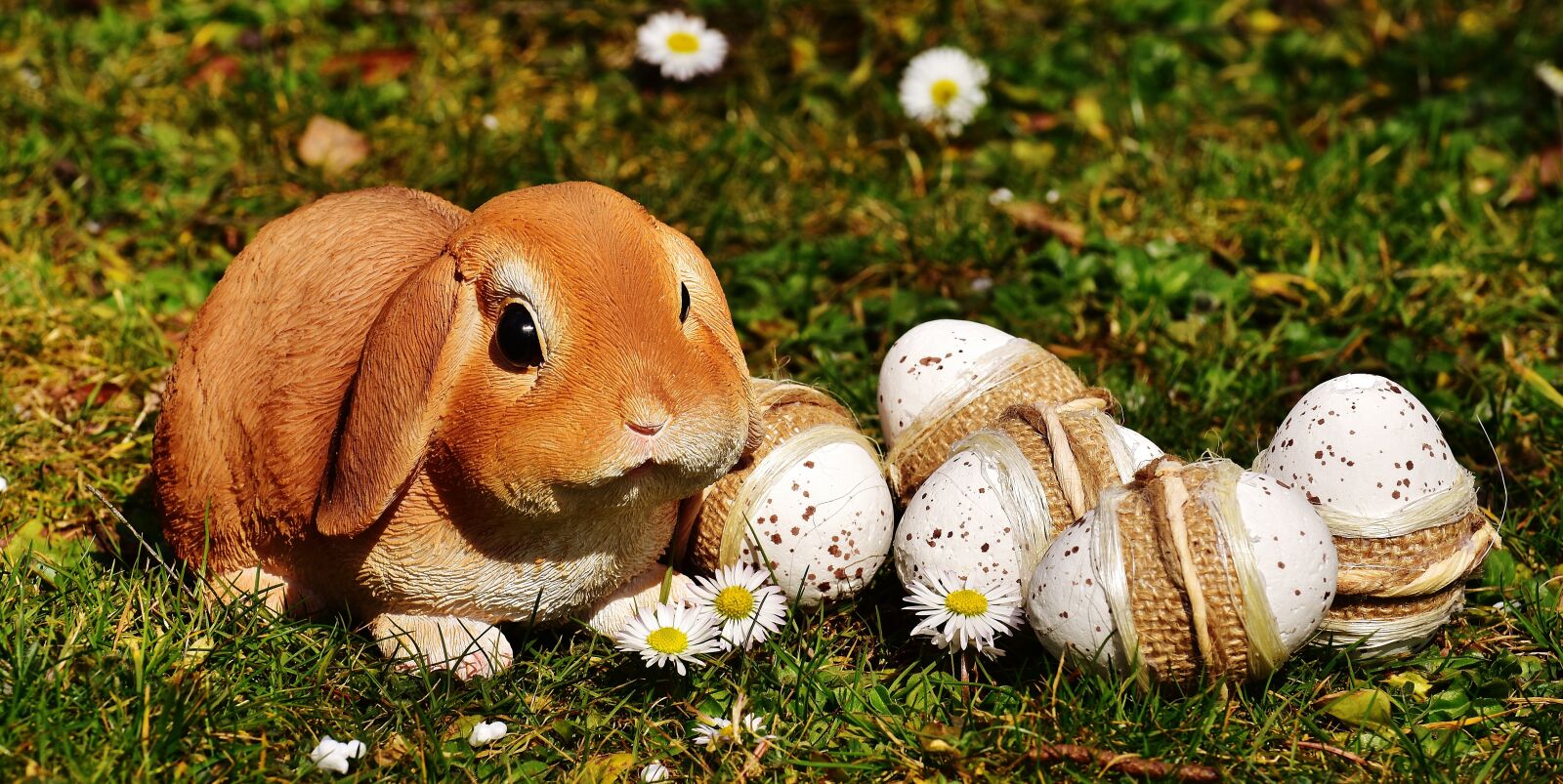Nikon D7200 sample photo. Easter, easter bunny, spring photography