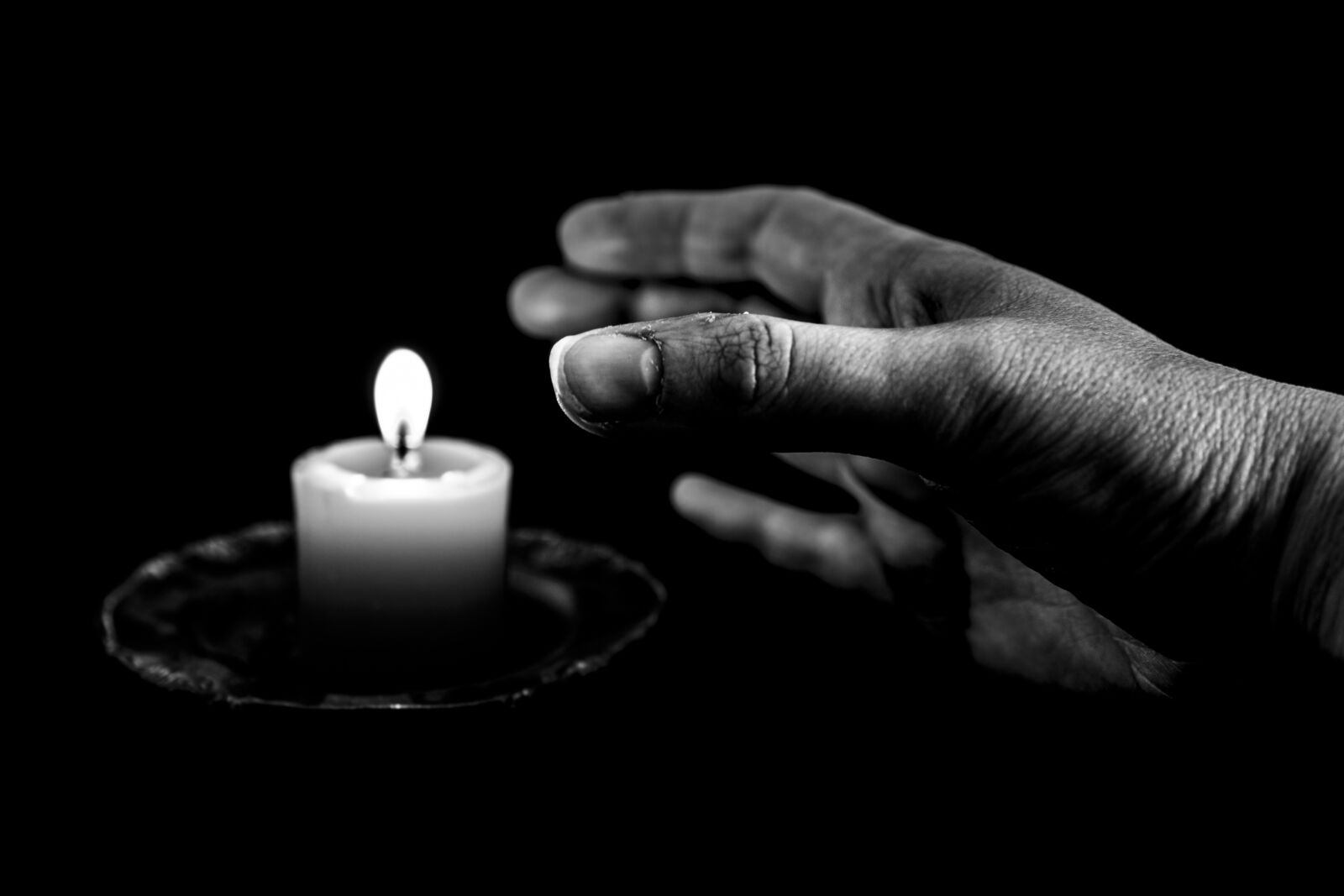 Canon 24-70mm F2.8 DG OS HSM | Art 017 sample photo. Hand, black and white photography