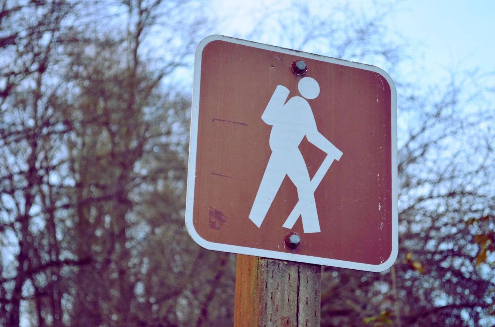 Nikon D5100 sample photo. Sign, hiking, trail photography