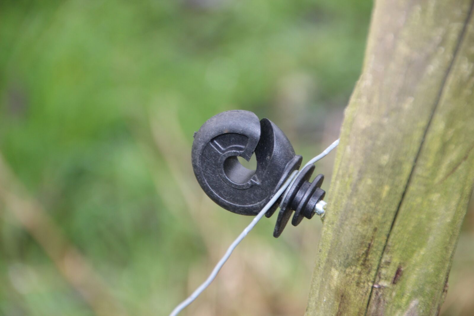 Canon EOS 600D (Rebel EOS T3i / EOS Kiss X5) sample photo. Fence, fixing, wire photography