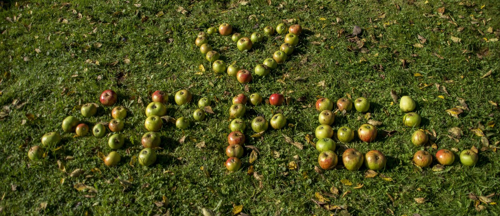 Sony SLT-A57 sample photo. Apple, heart, fruit photography