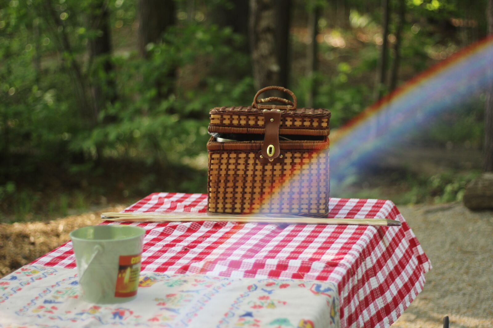 Canon EOS 1200D (EOS Rebel T5 / EOS Kiss X70 / EOS Hi) sample photo. Table, cloth, basket photography