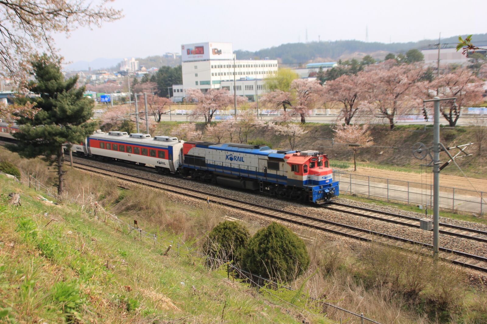 Canon EOS 600D (Rebel EOS T3i / EOS Kiss X5) sample photo. Korea, railway, transportation photography