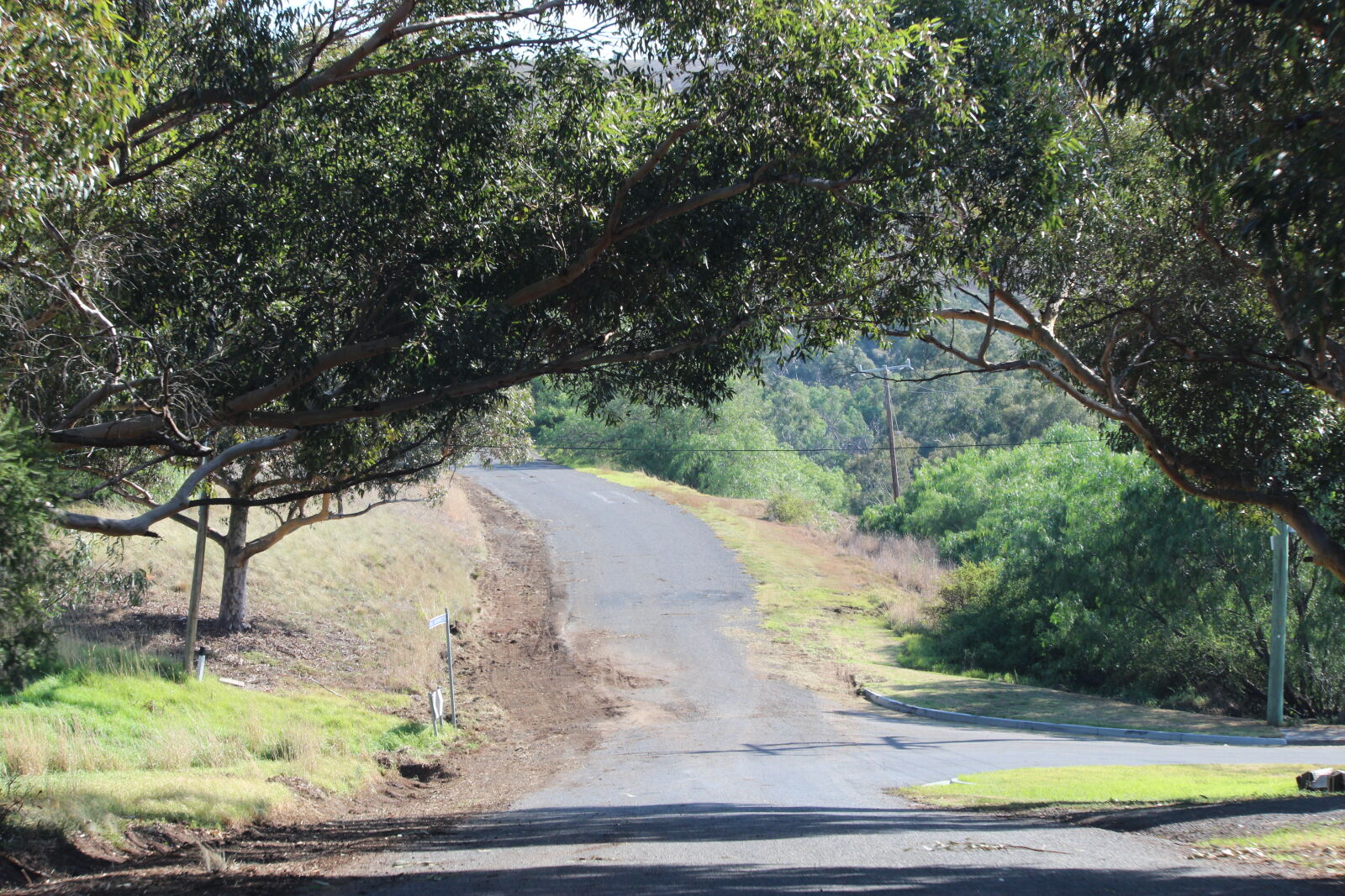 Canon EOS 600D (Rebel EOS T3i / EOS Kiss X5) sample photo. Branches, day, dirt, driving photography