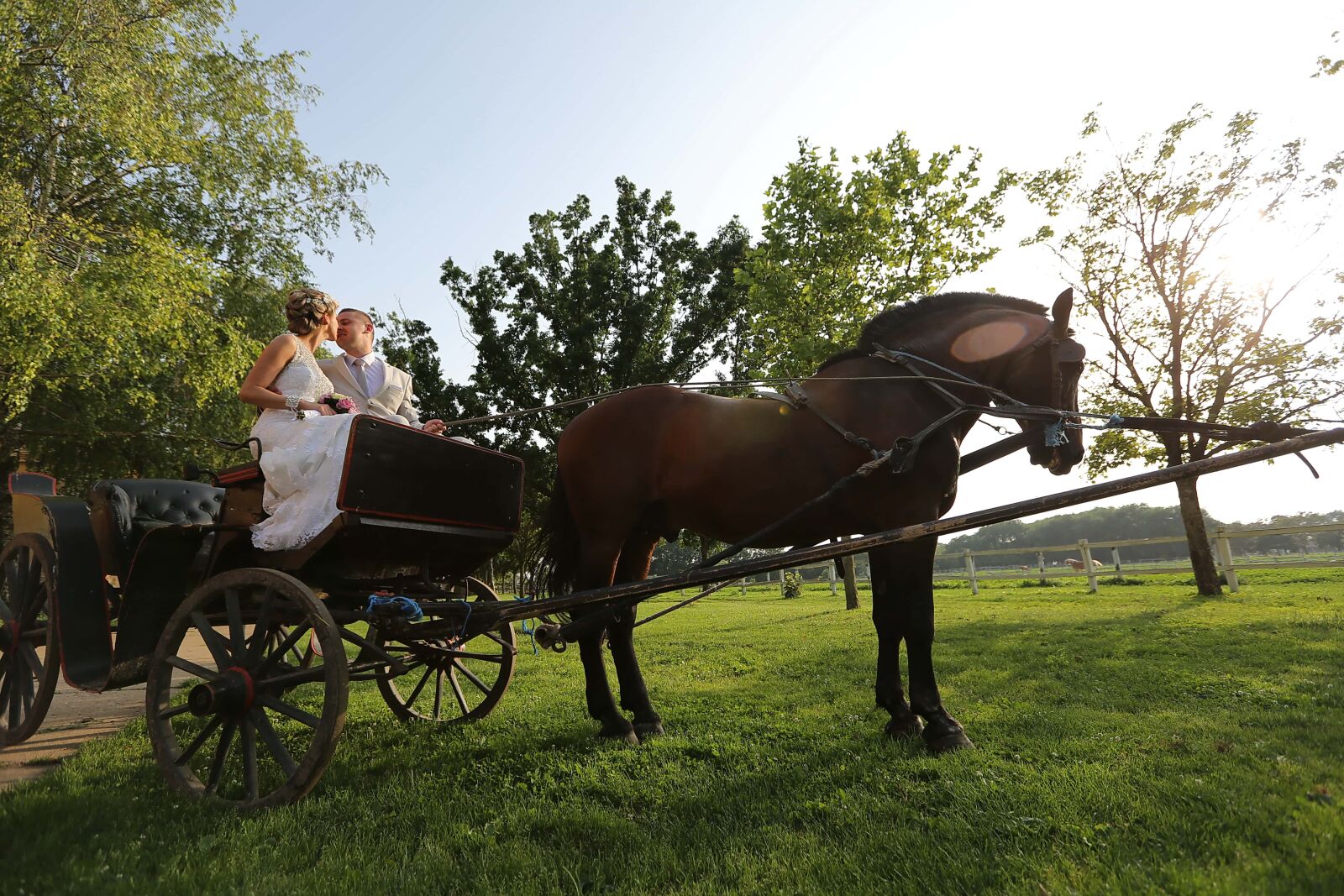 Canon EF 16-35mm F2.8L II USM sample photo. Carriage, bride, groom, horse photography