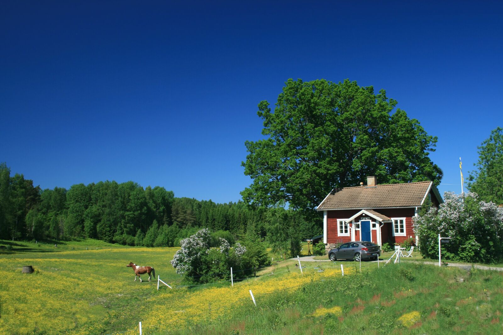 Canon EOS 400D (EOS Digital Rebel XTi / EOS Kiss Digital X) sample photo. Sweden, vacations, landscape photography