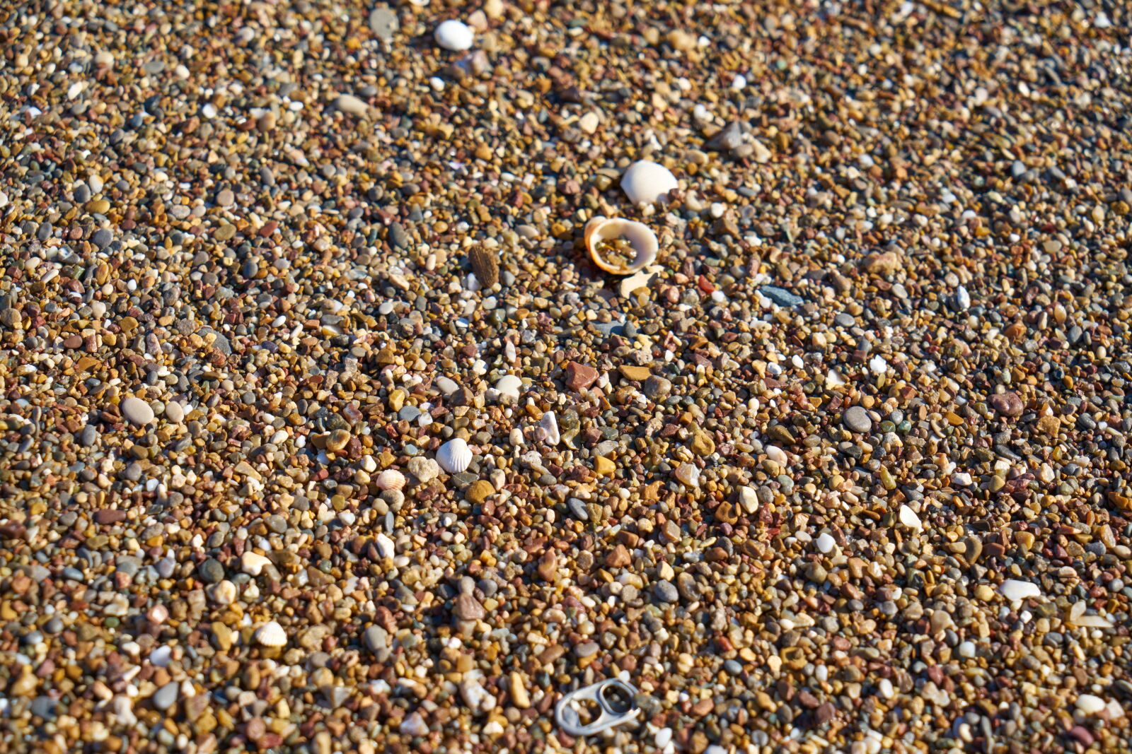 Sony a7R II sample photo. Beach, stone, gravel photography
