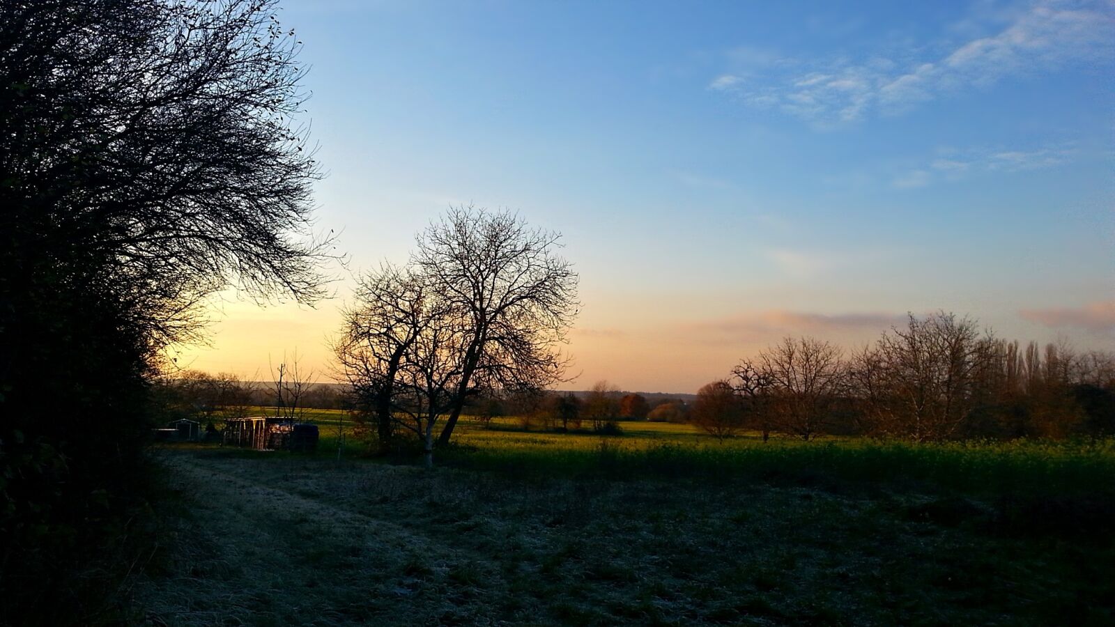 Samsung Galaxy S3 sample photo. Landscape, nature, green photography