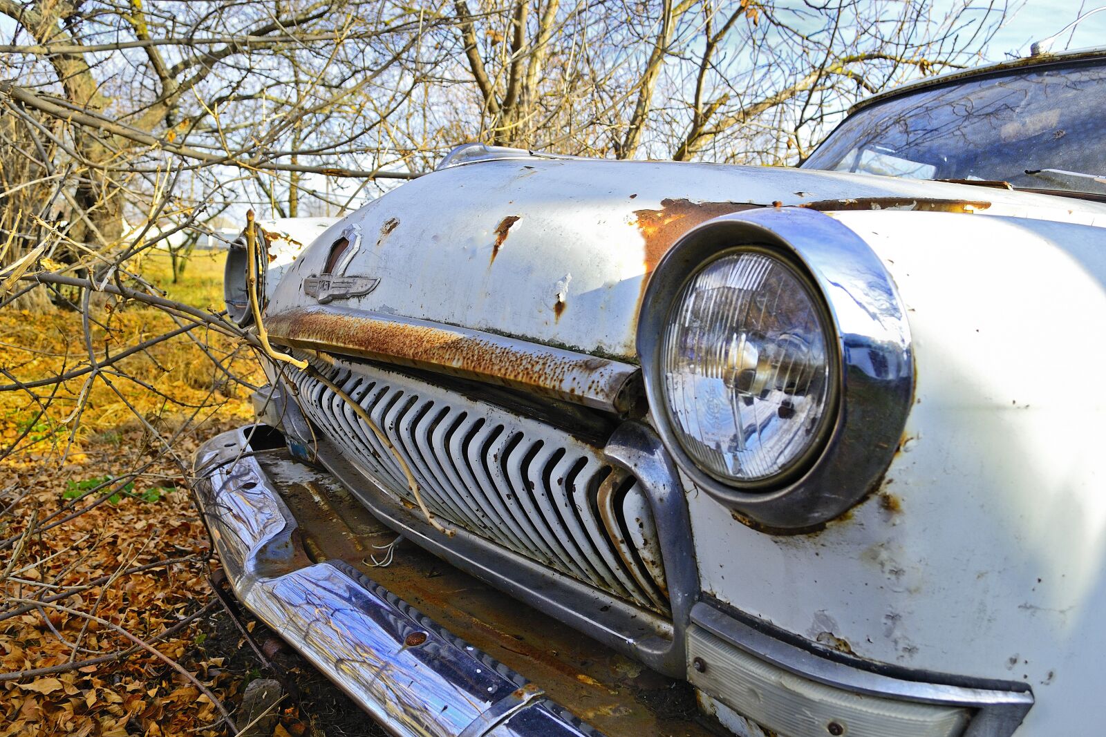 Nikon D3100 sample photo. Auto, rust, old photography