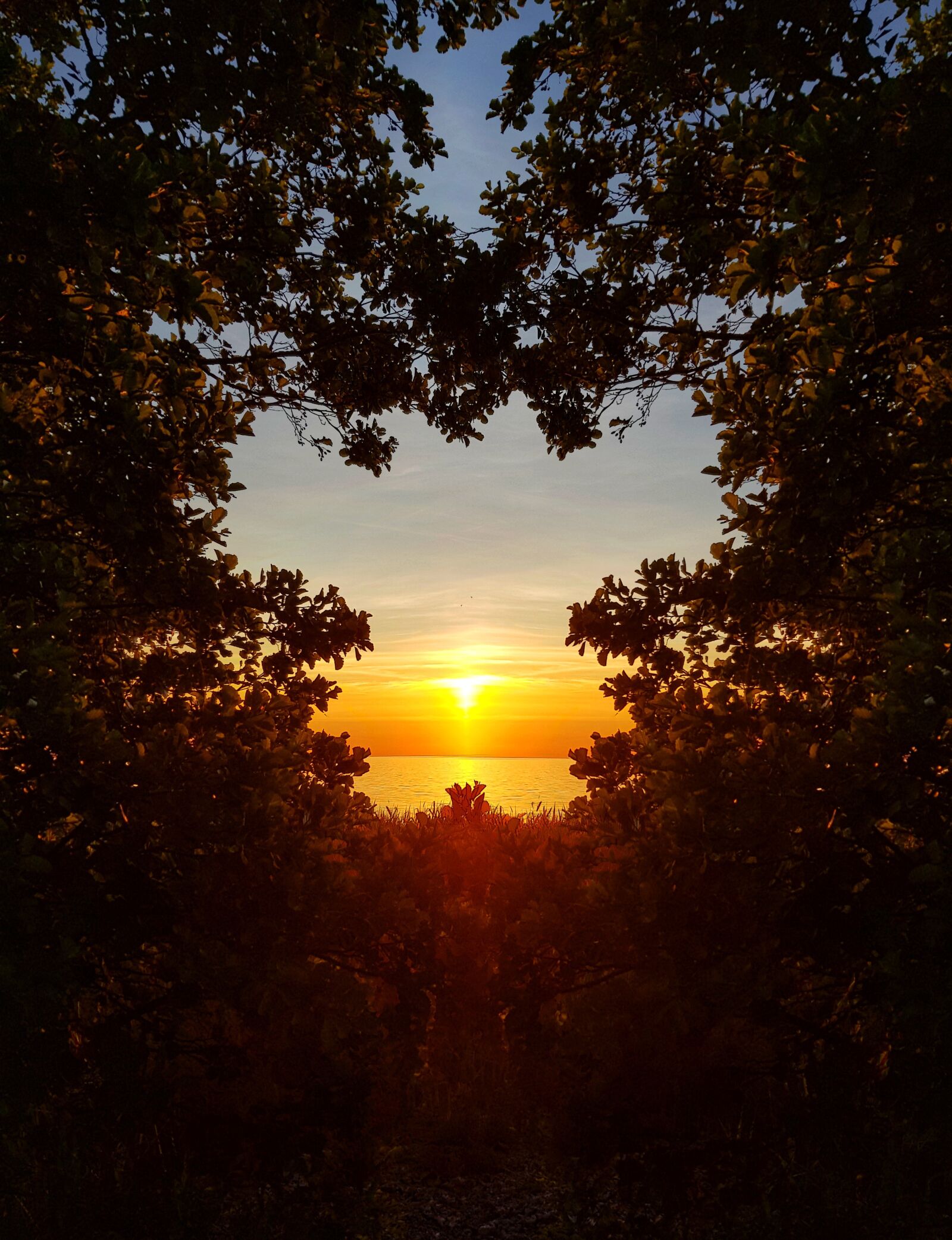 Samsung Galaxy S8 sample photo. Butterfly, sunset, summer photography