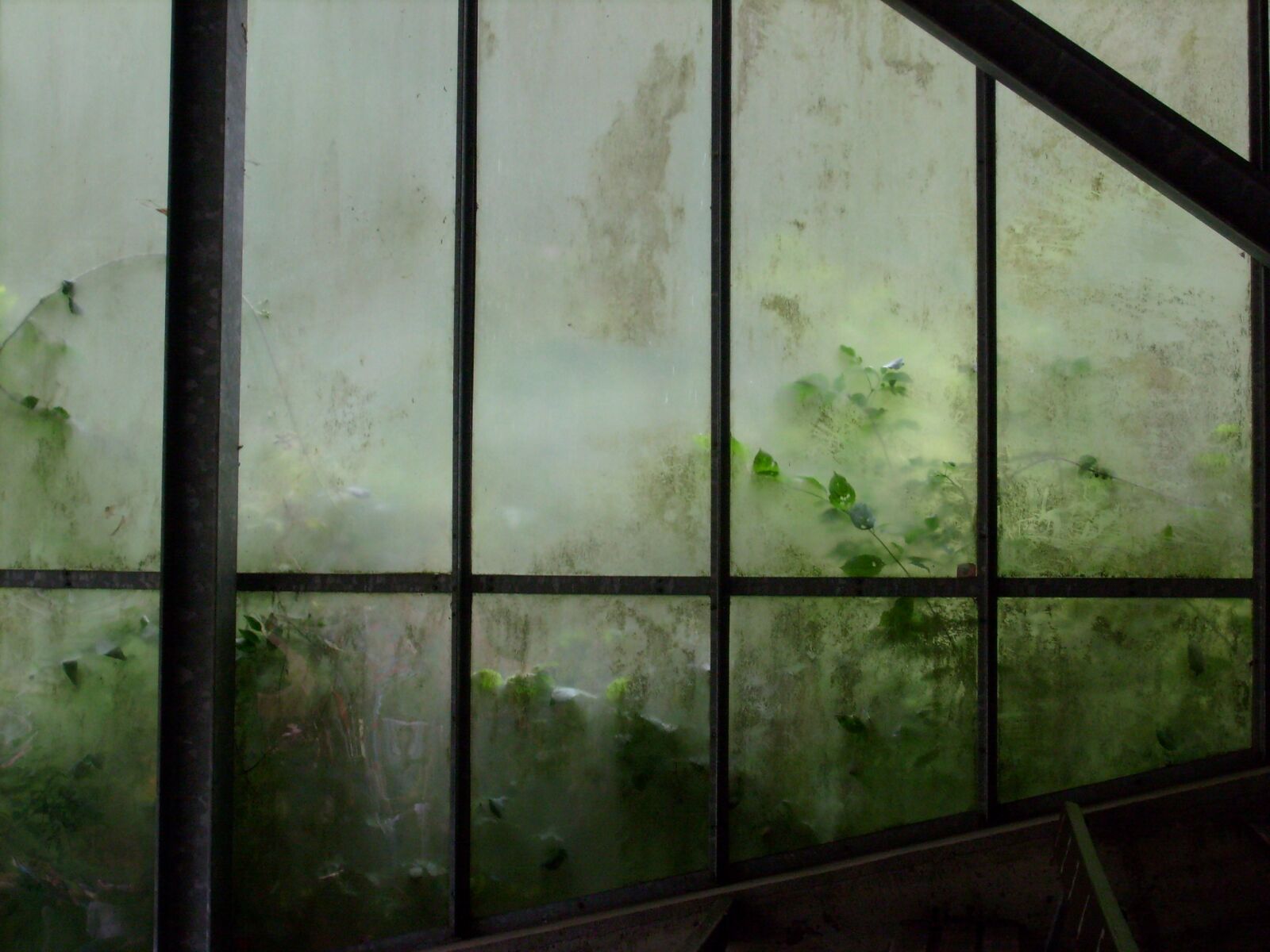 Samsung D70 / D75 / S730 / S750 sample photo. Autumn, greenhouse, gloomy photography