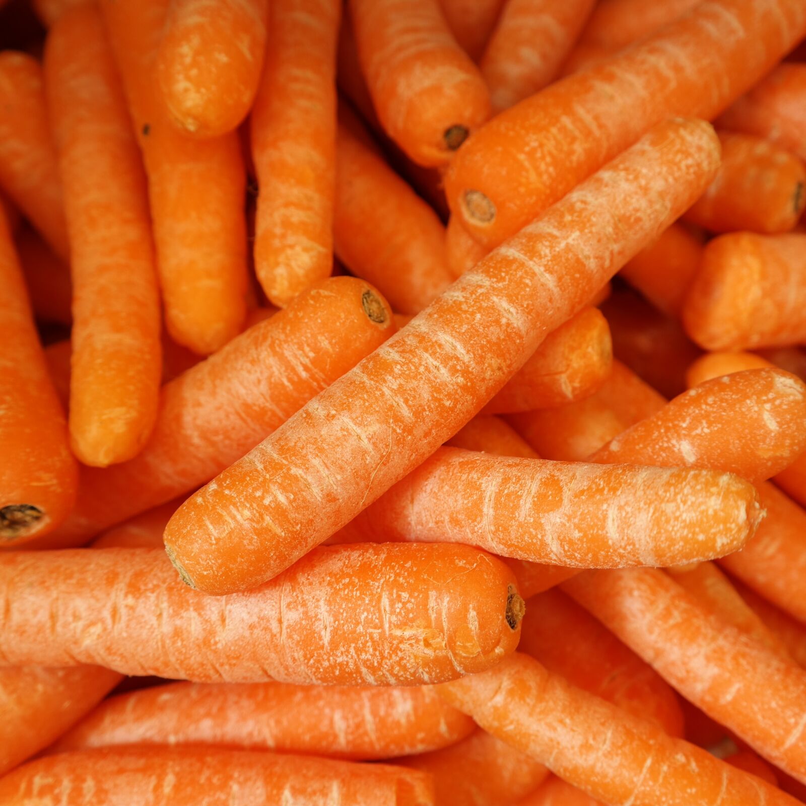 Samsung NX30 sample photo. Carrots, fresh, vegetable photography