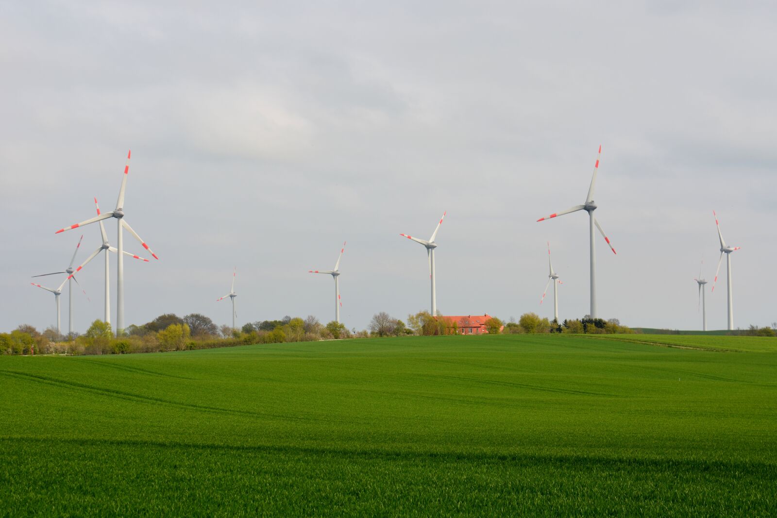 Nikon D7100 sample photo. Technology, nature, windräder photography