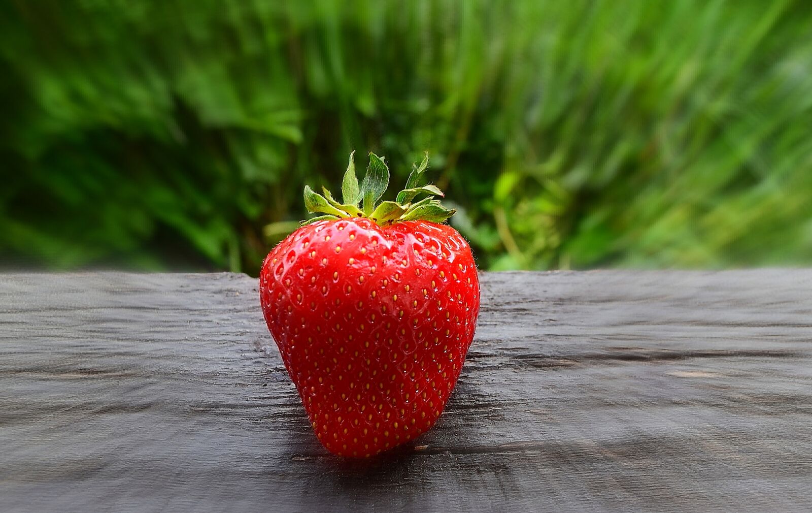 Nikon D5300 sample photo. Strawberry, delicious, fruit photography
