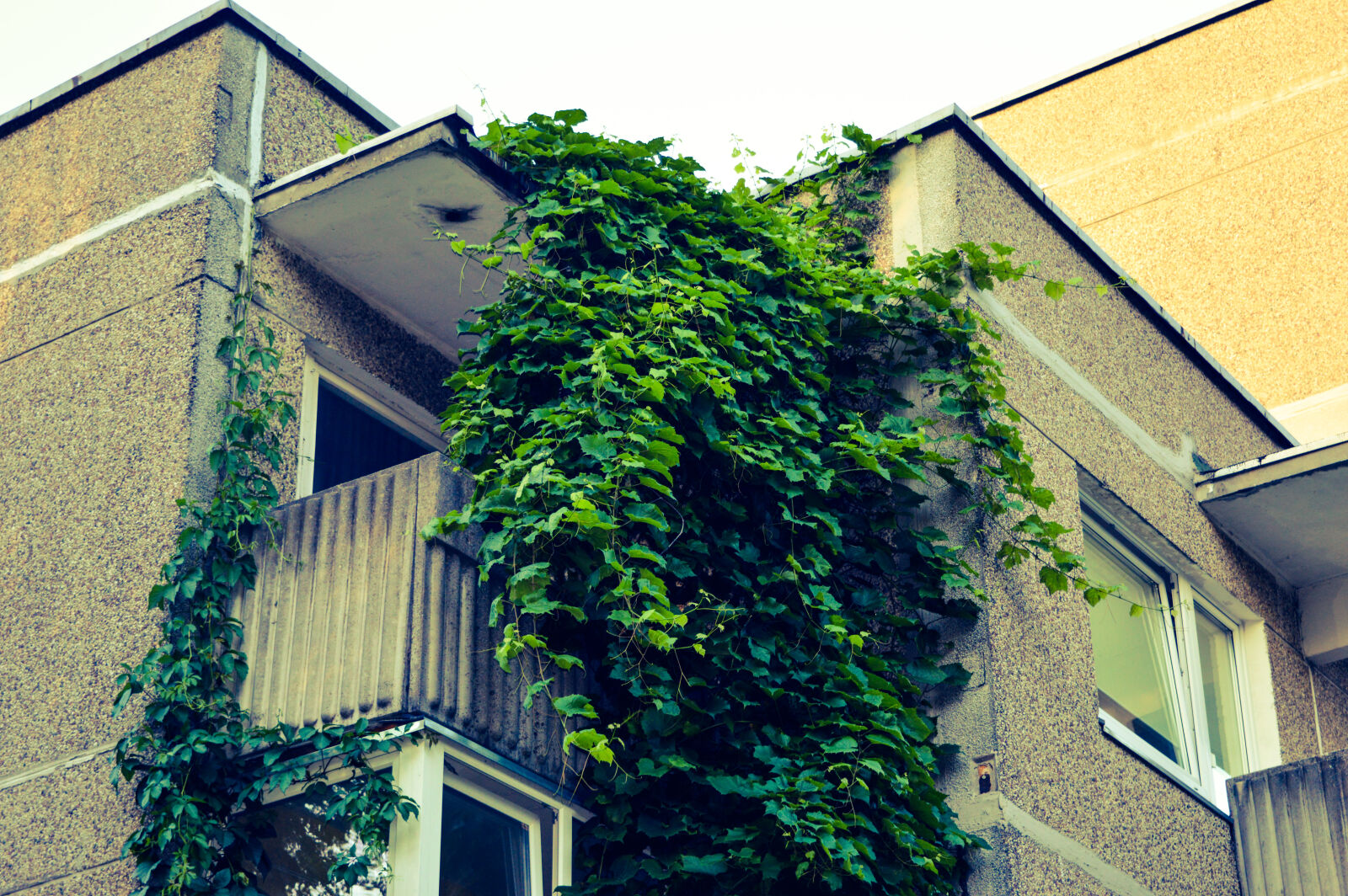 Nikon D3200 sample photo