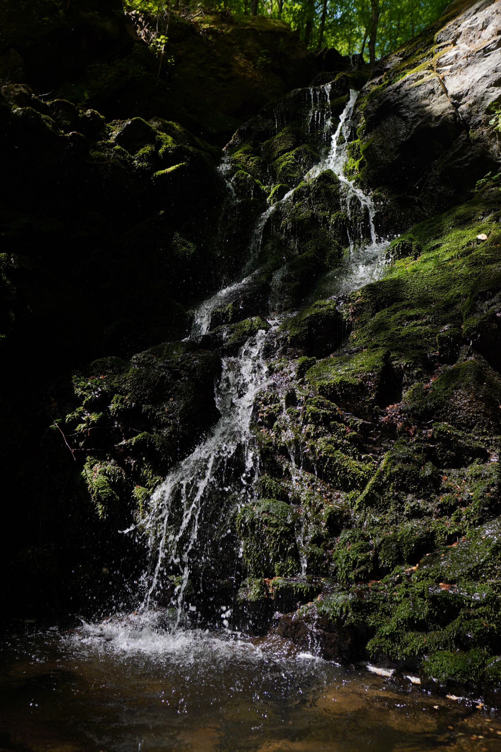 Sony a6400 + Sigma 16mm F1.4 DC DN | C sample photo. Waterfall, forest, river photography