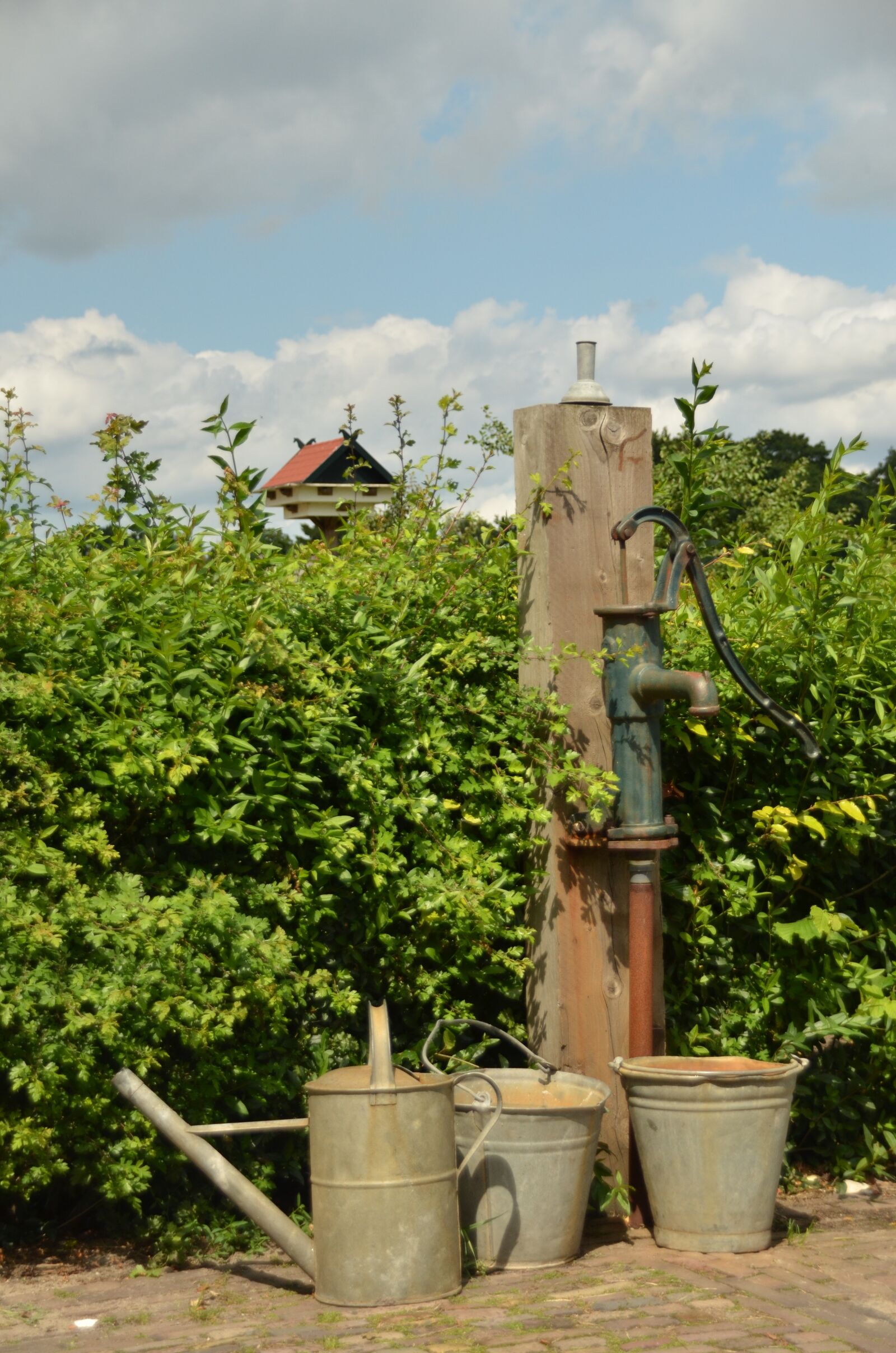 Nikon D7000 sample photo. Water, pump, bucket photography