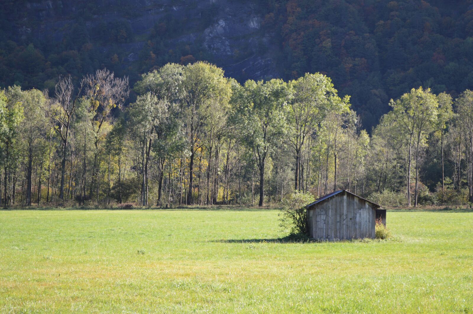 Nikon D3200 sample photo. Cabin, field, nature photography
