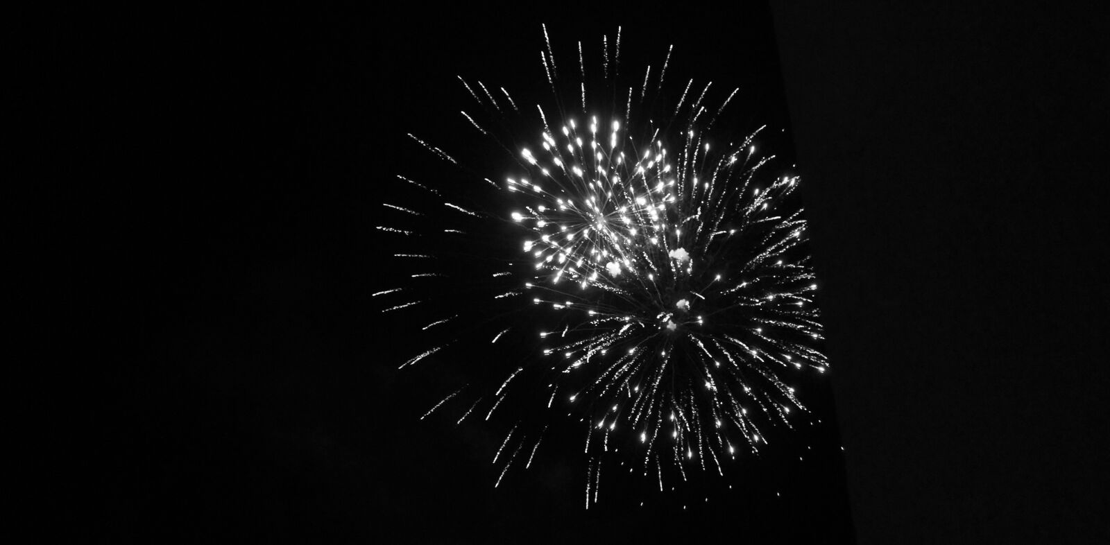Sony SLT-A55 (SLT-A55V) sample photo. Black and white, image photography
