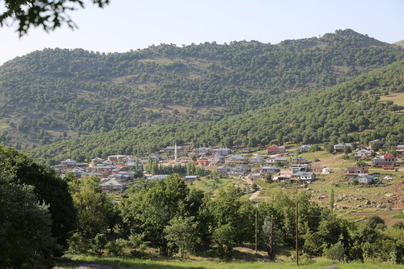 Canon EF 24-105mm F4L IS USM sample photo. Village, landscape, forest photography