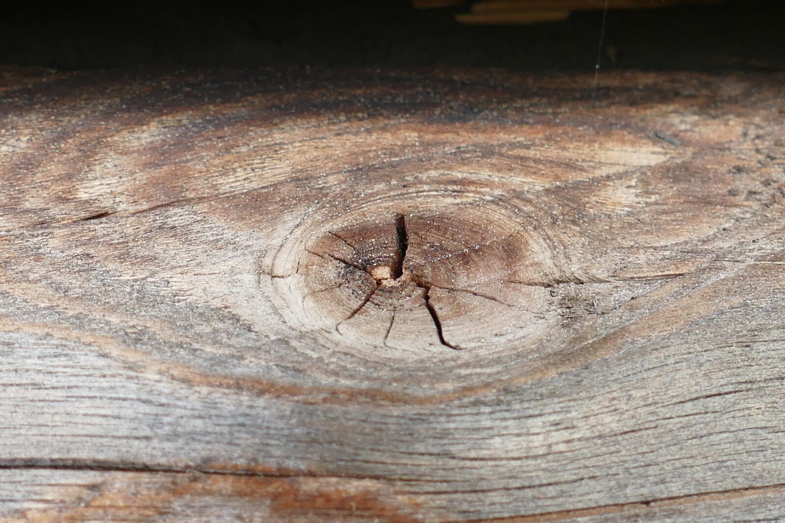 Panasonic Lumix DMC-FZ1000 sample photo. Wood, grain, knothole photography