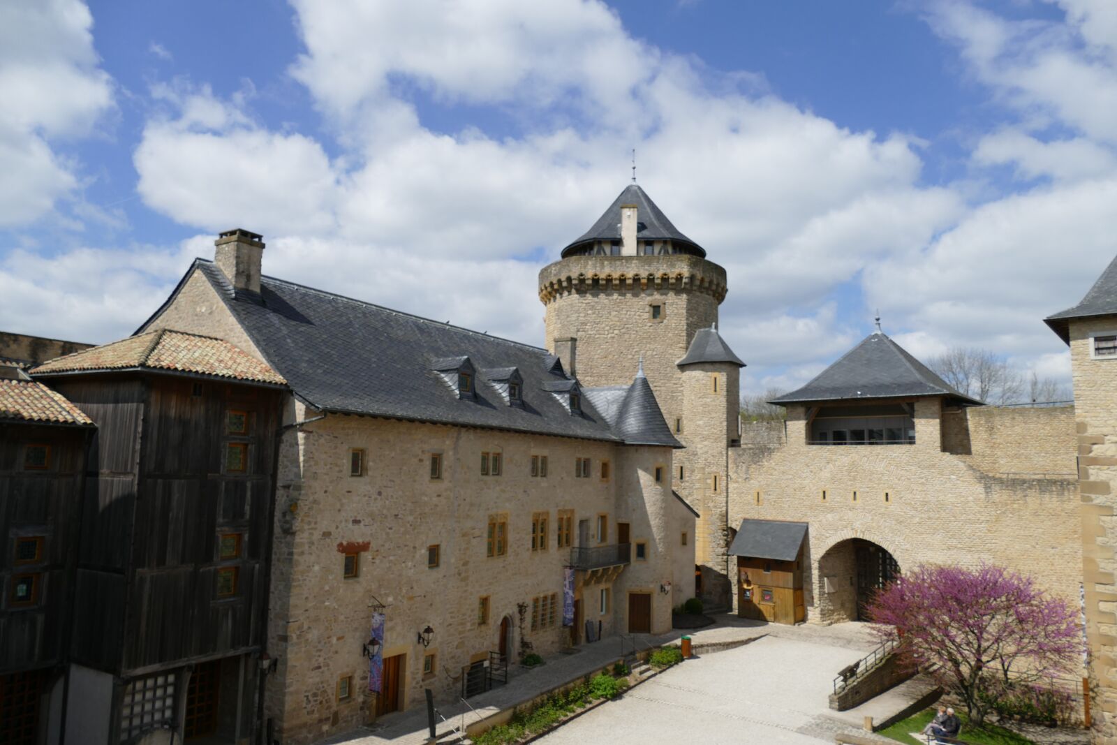 Panasonic Lumix DMC-FZ1000 sample photo. Castle, in, france photography